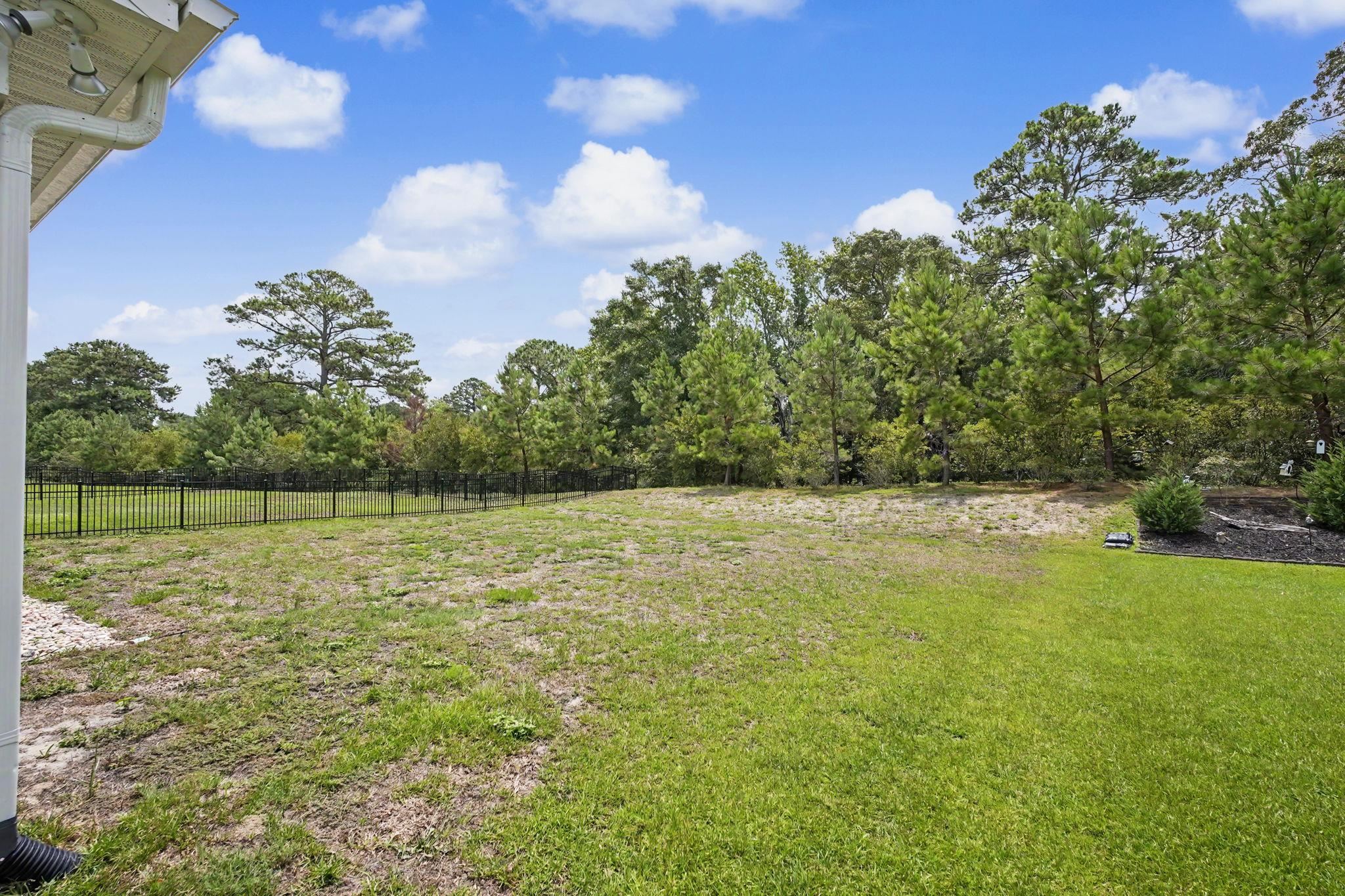 3127 Viceroy Loop Property Photo 55