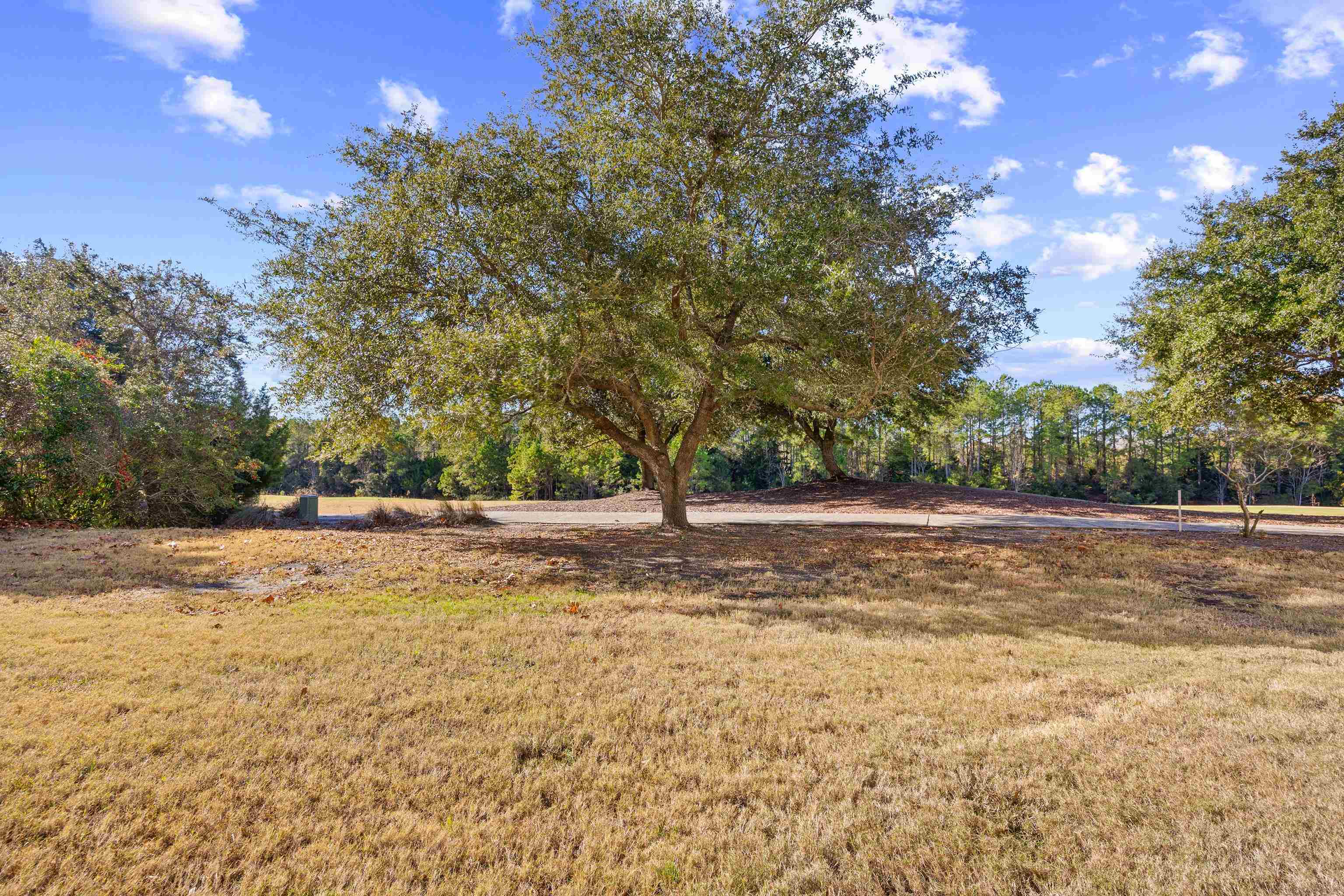 6203 Catalina Dr. Property Photo 36