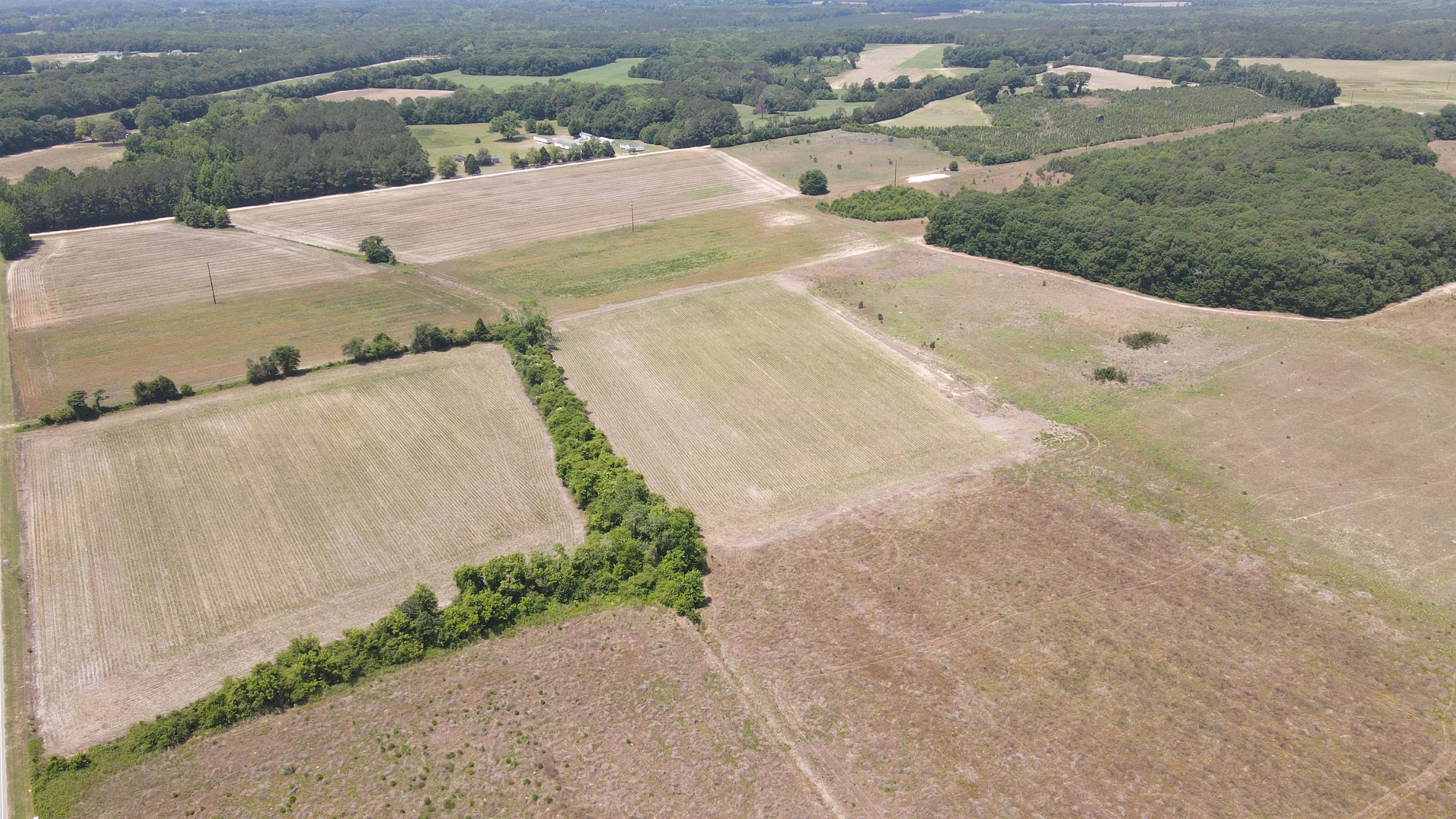 25.10 Acres - Society Hill Rd Property Photo 6
