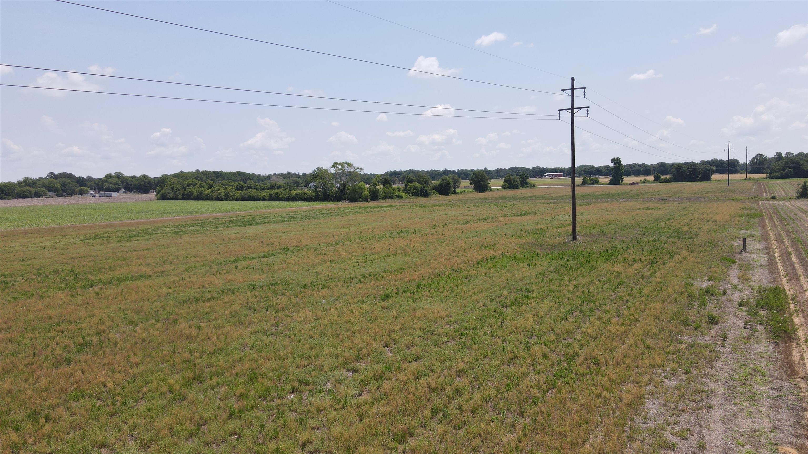 25.10 Acres - Society Hill Rd Property Photo 19
