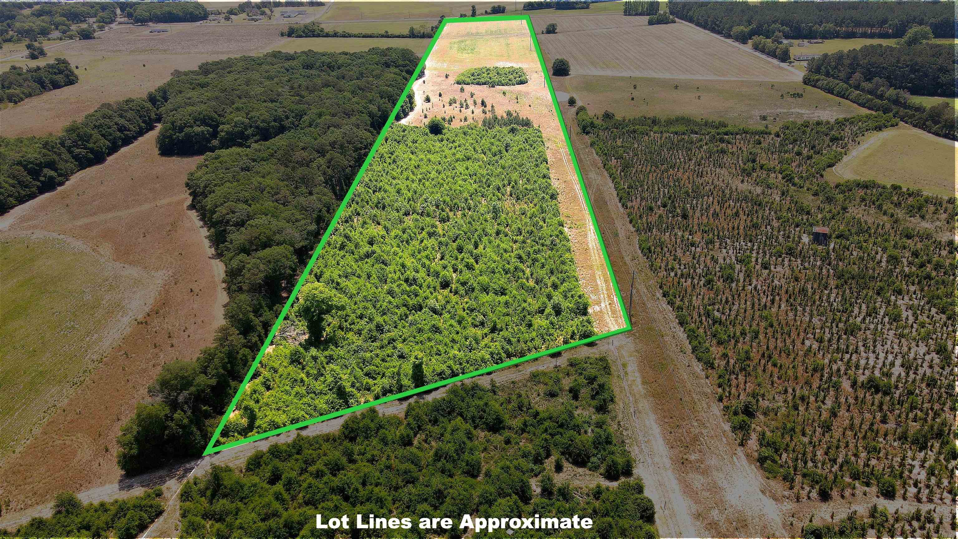 25.10 Acres - Society Hill Rd Property Photo 25