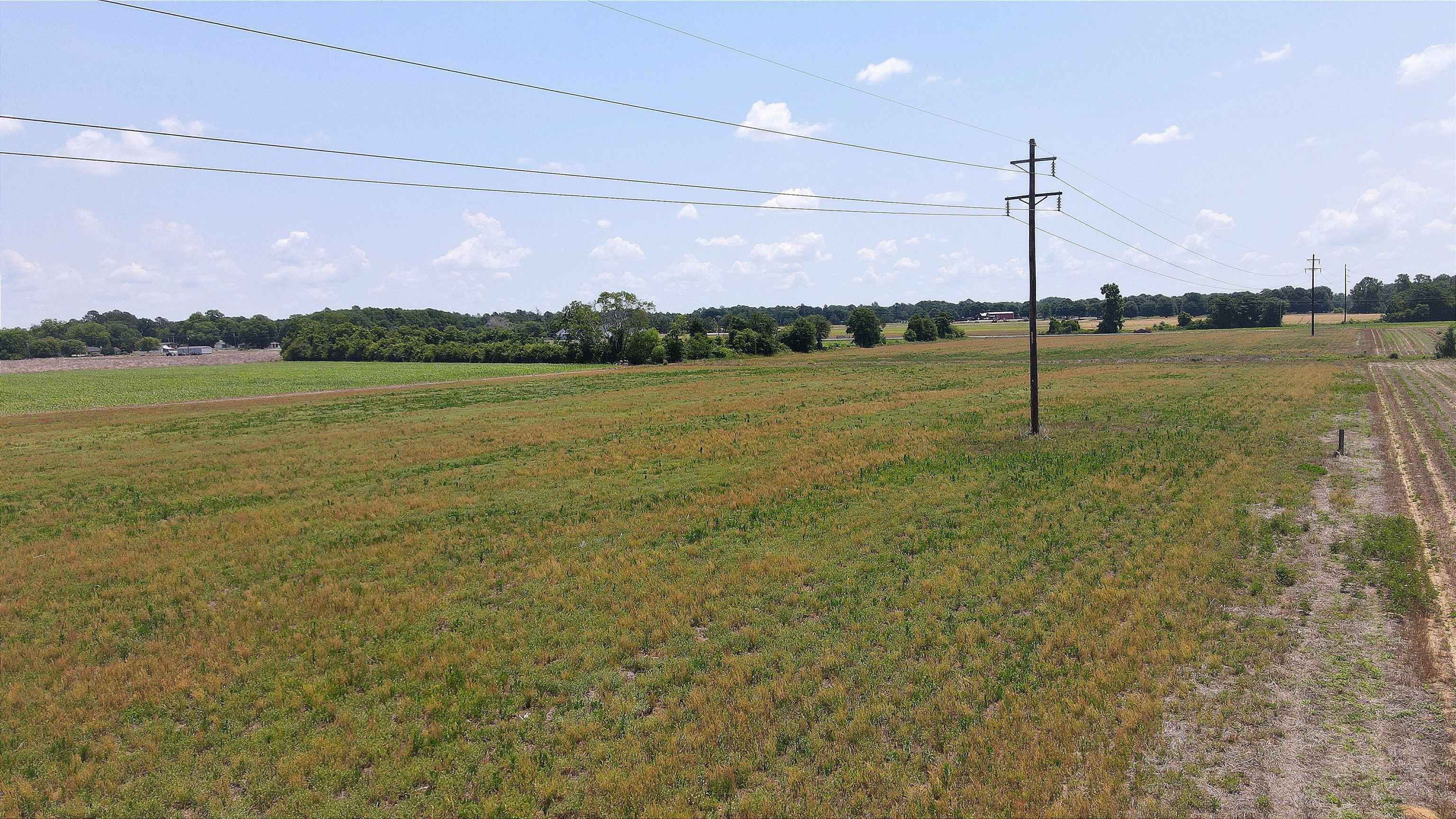 25.10 Acres - Society Hill Rd Property Photo 31