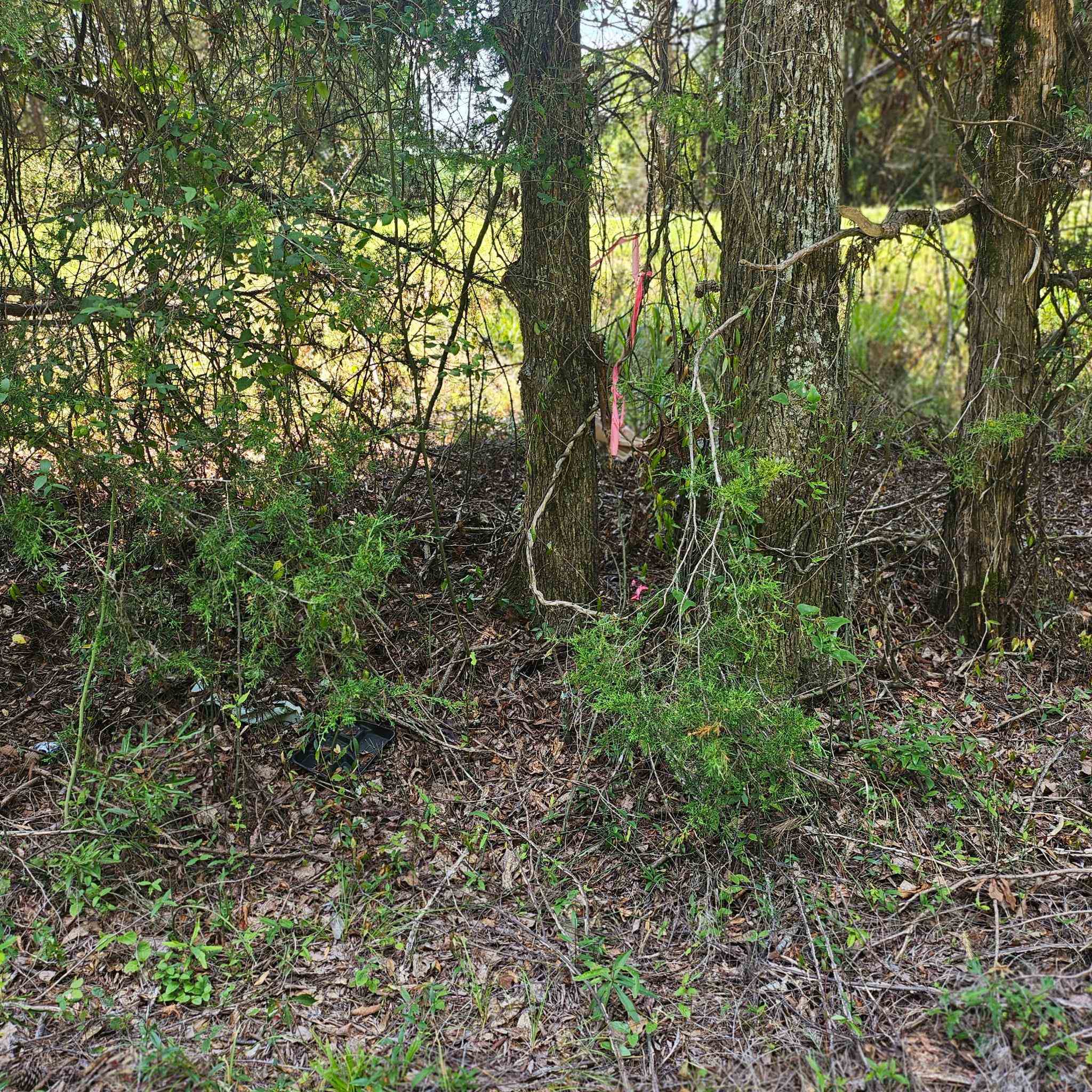 6142 Hwy 252 Property Photo 7