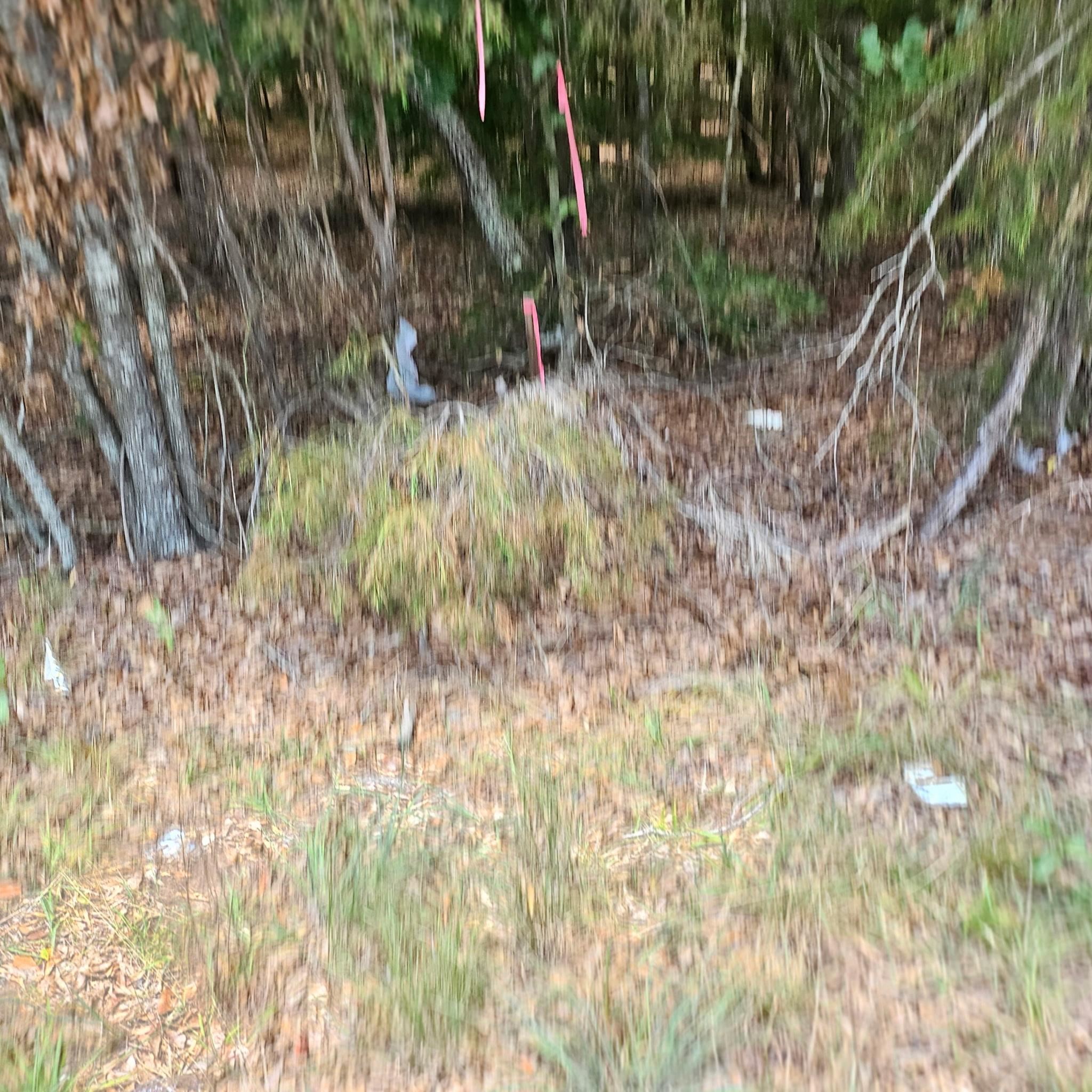 6142 Hwy 252 Property Photo 8