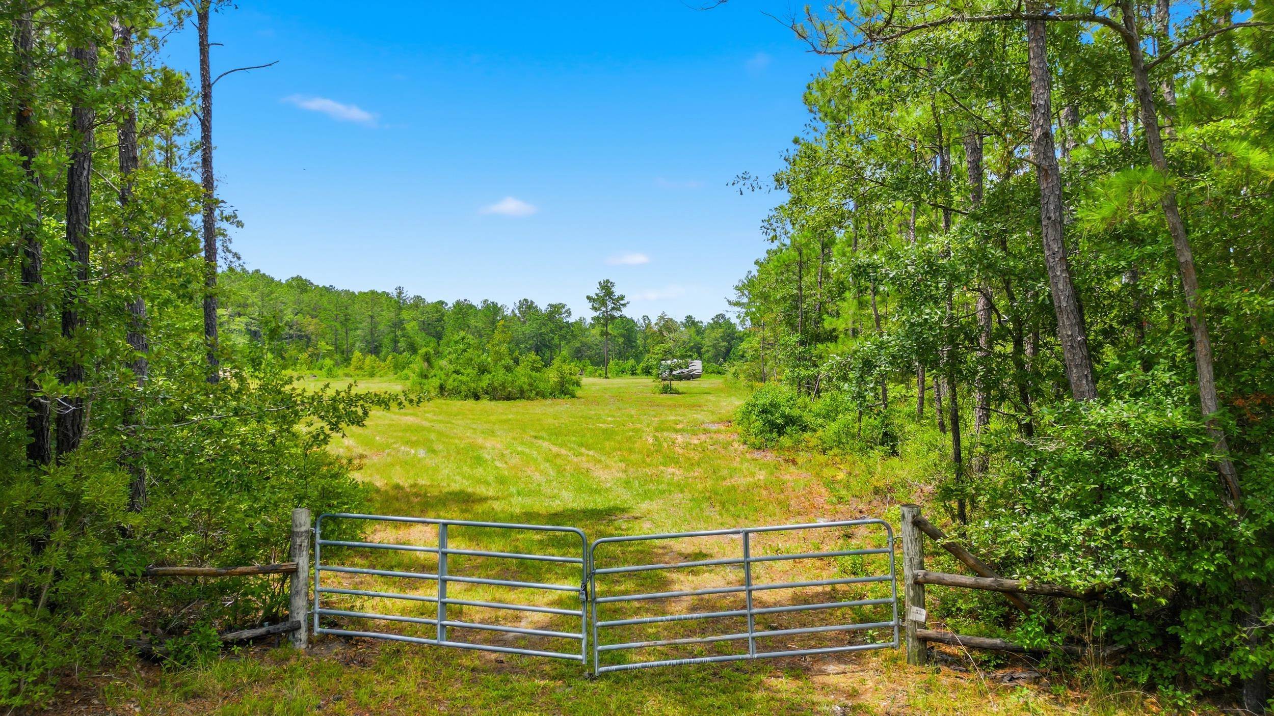 Tbd Williams Hill Rd. Property Photo 3
