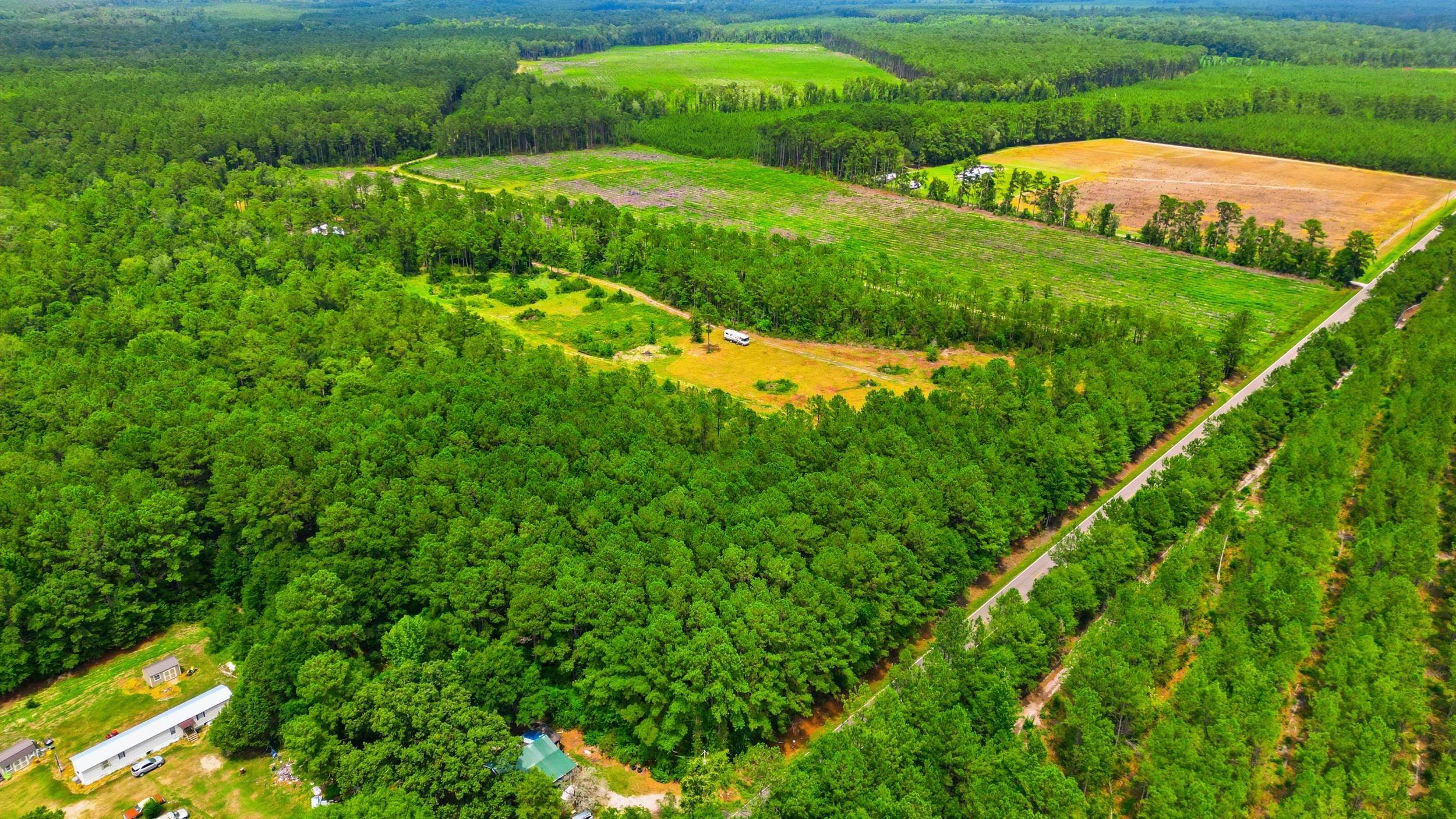Tbd Williams Hill Rd. Property Photo 5