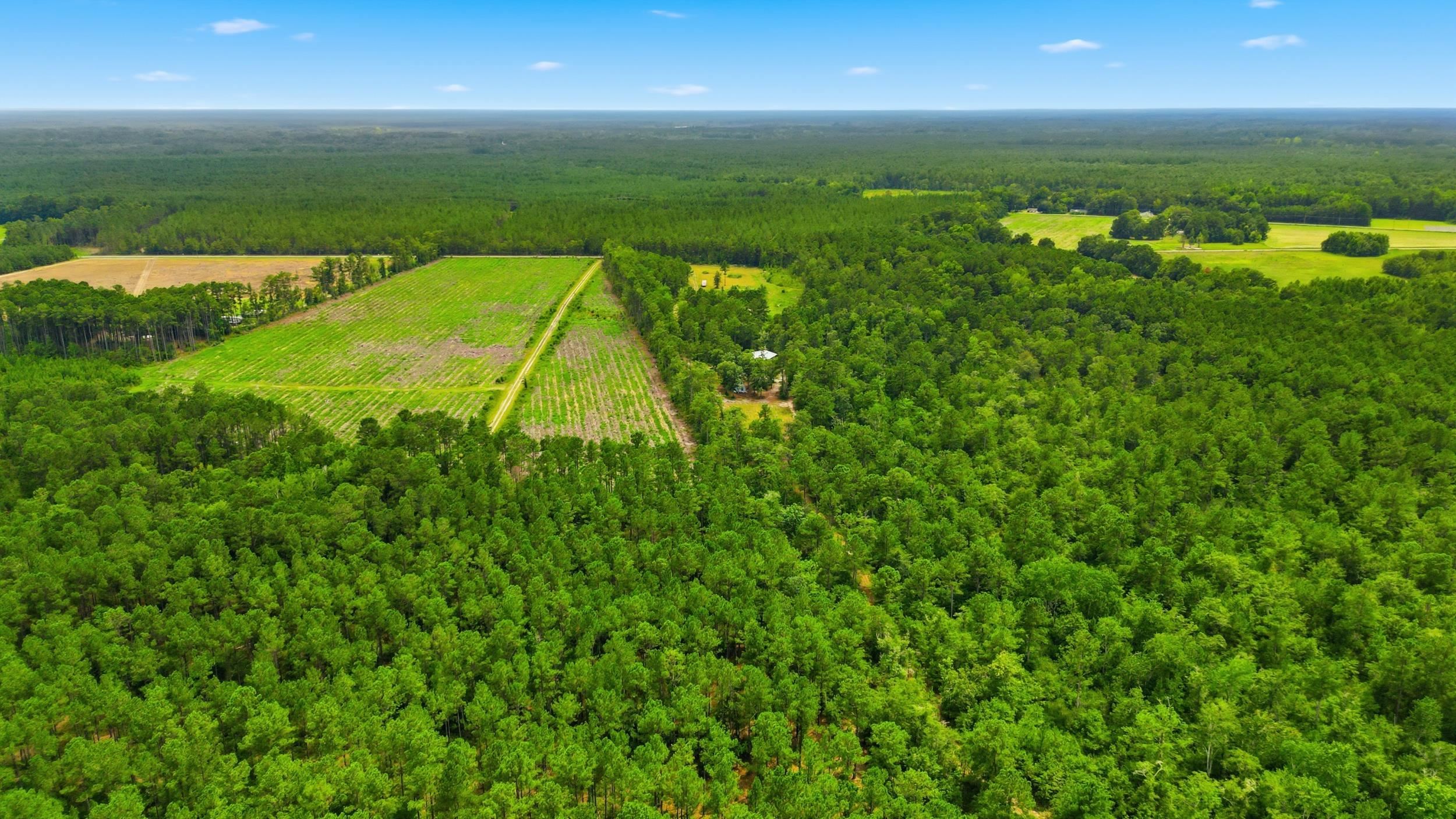 Tbd Williams Hill Rd. Property Photo 8
