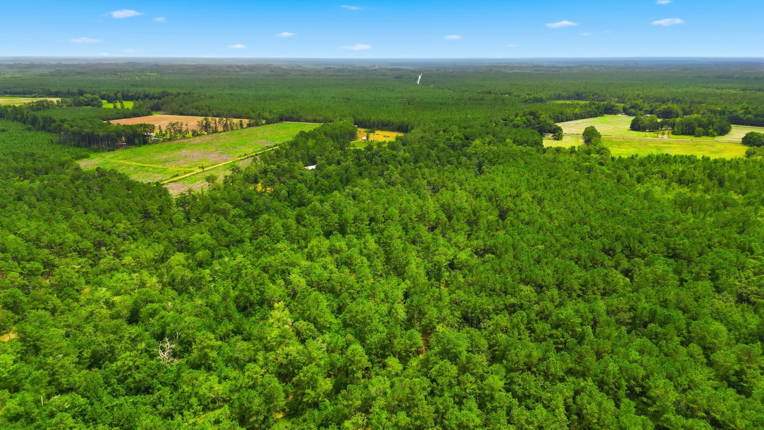 Tbd Williams Hill Rd. Property Photo 9