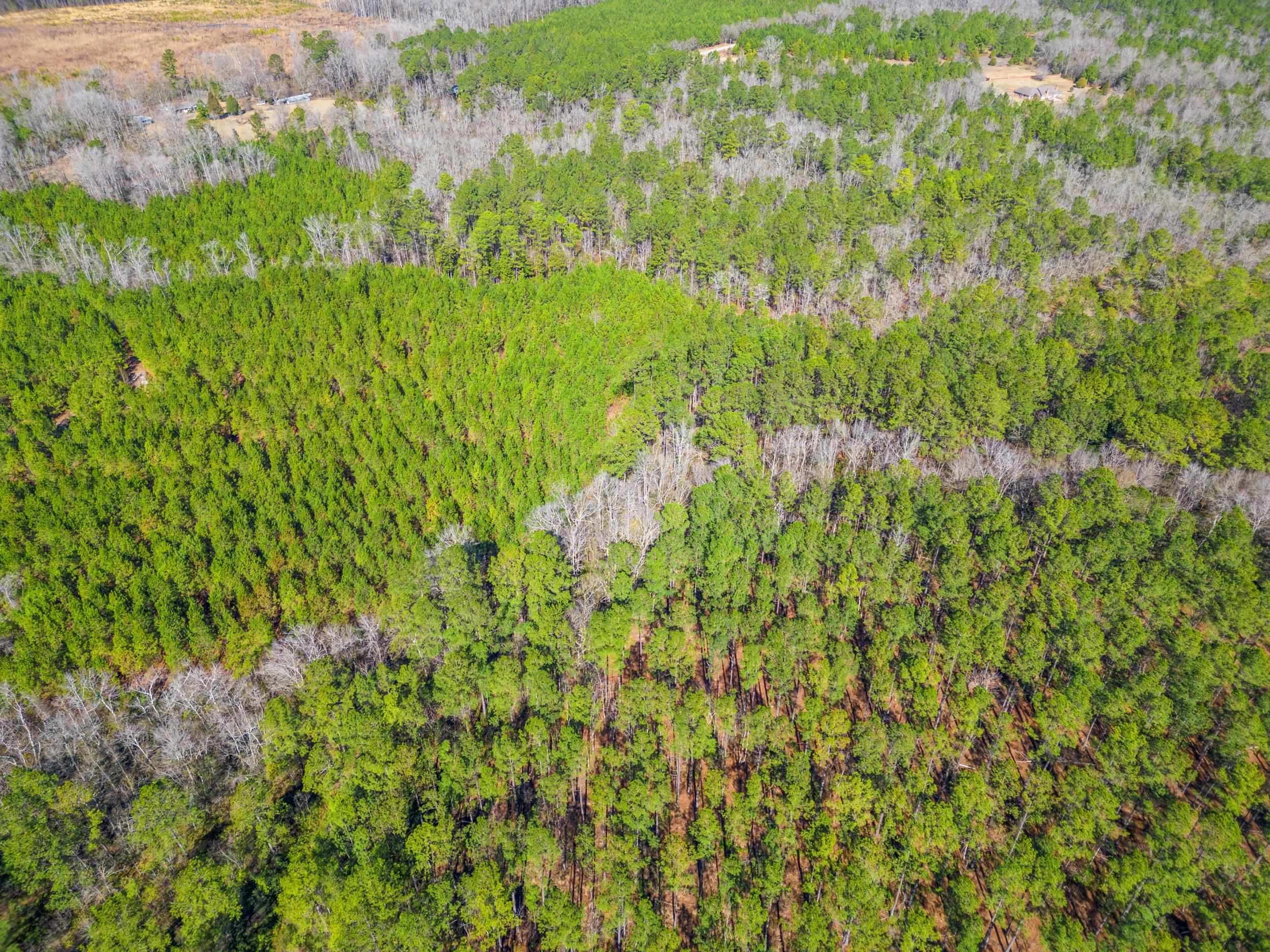 Tbd Williams Hill Rd. Property Photo 12