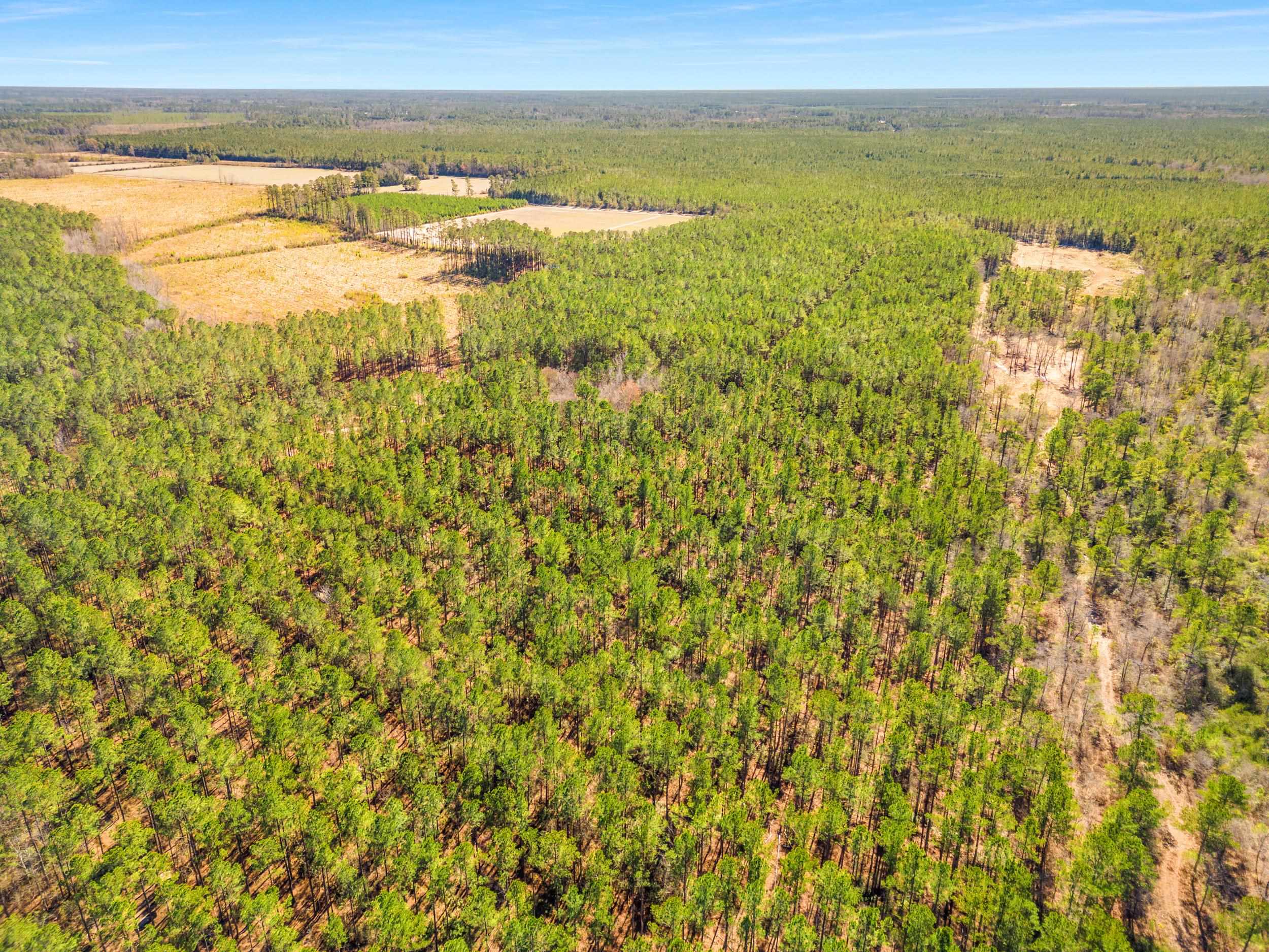 Tbd Williams Hill Rd. Property Photo 13
