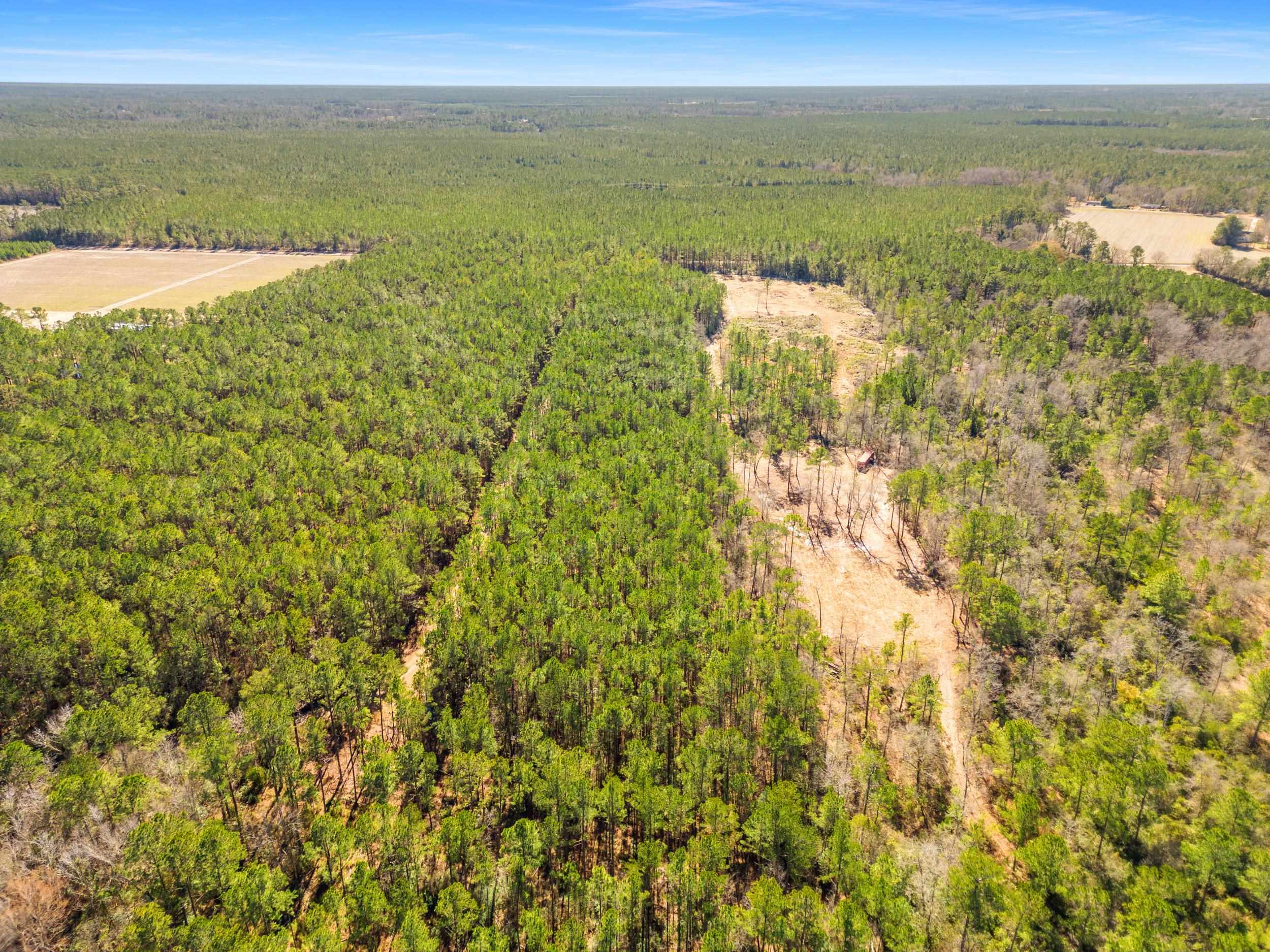 Tbd Williams Hill Rd. Property Photo 14
