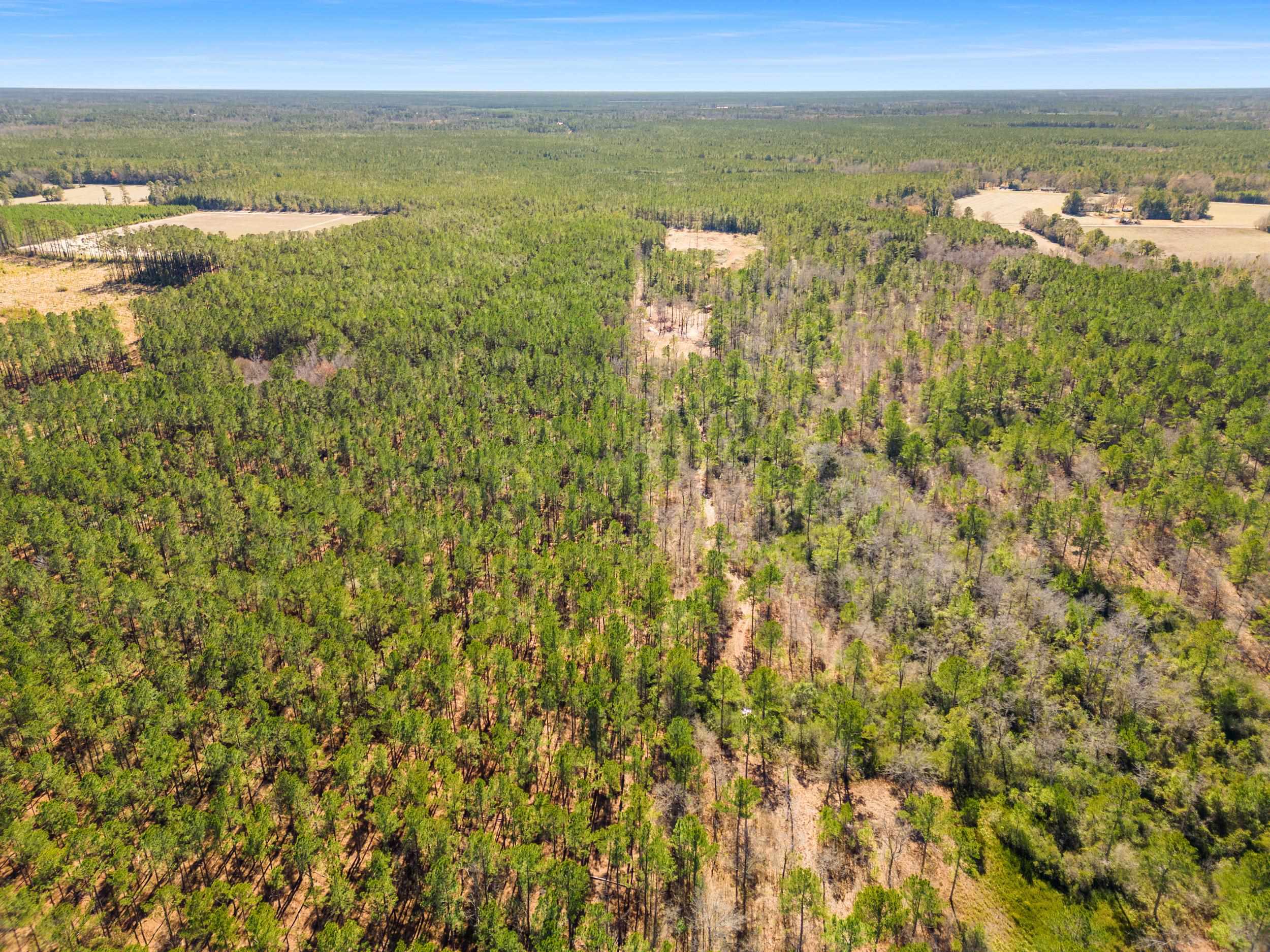 Tbd Williams Hill Rd. Property Photo 18