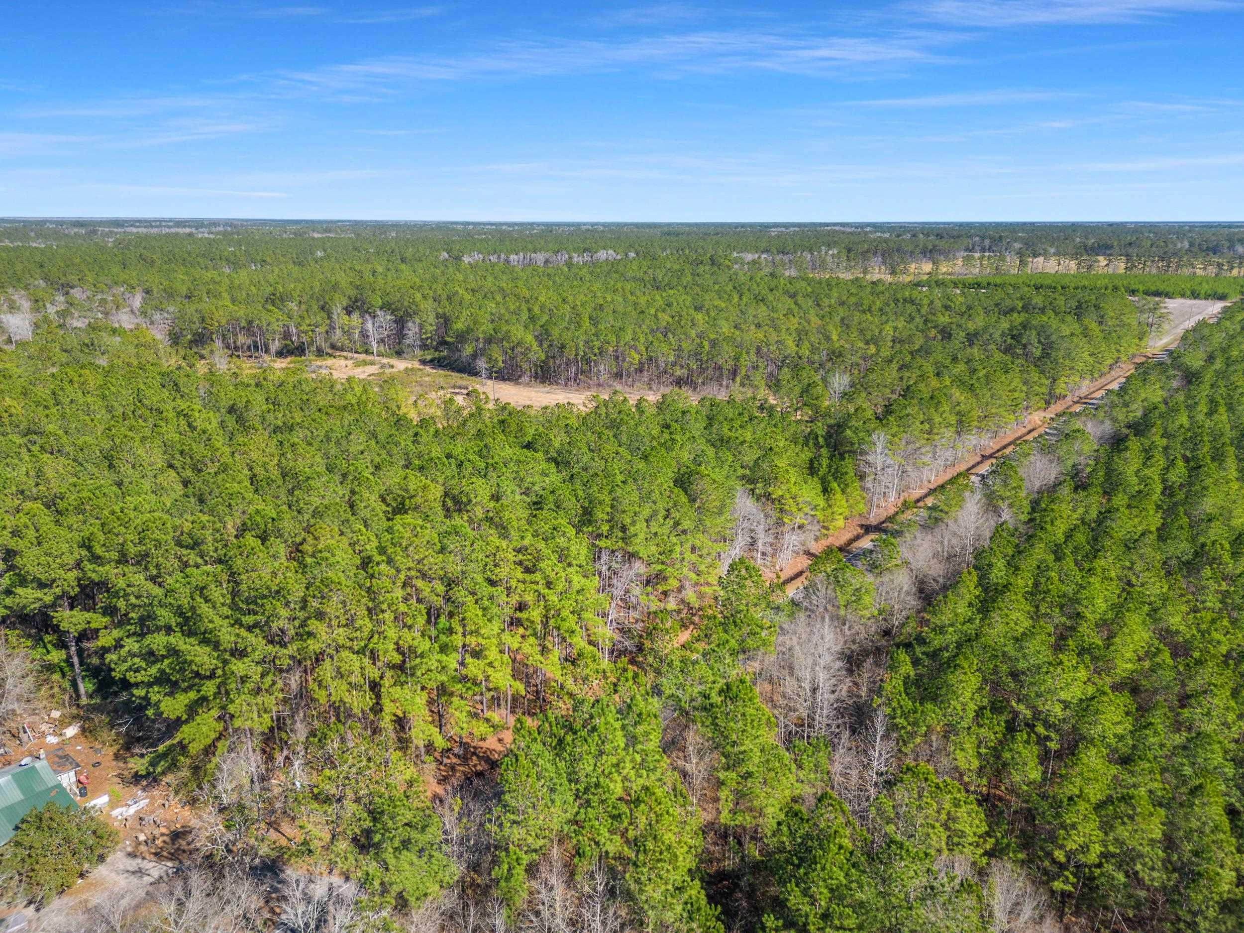 Tbd Williams Hill Rd. Property Photo 20