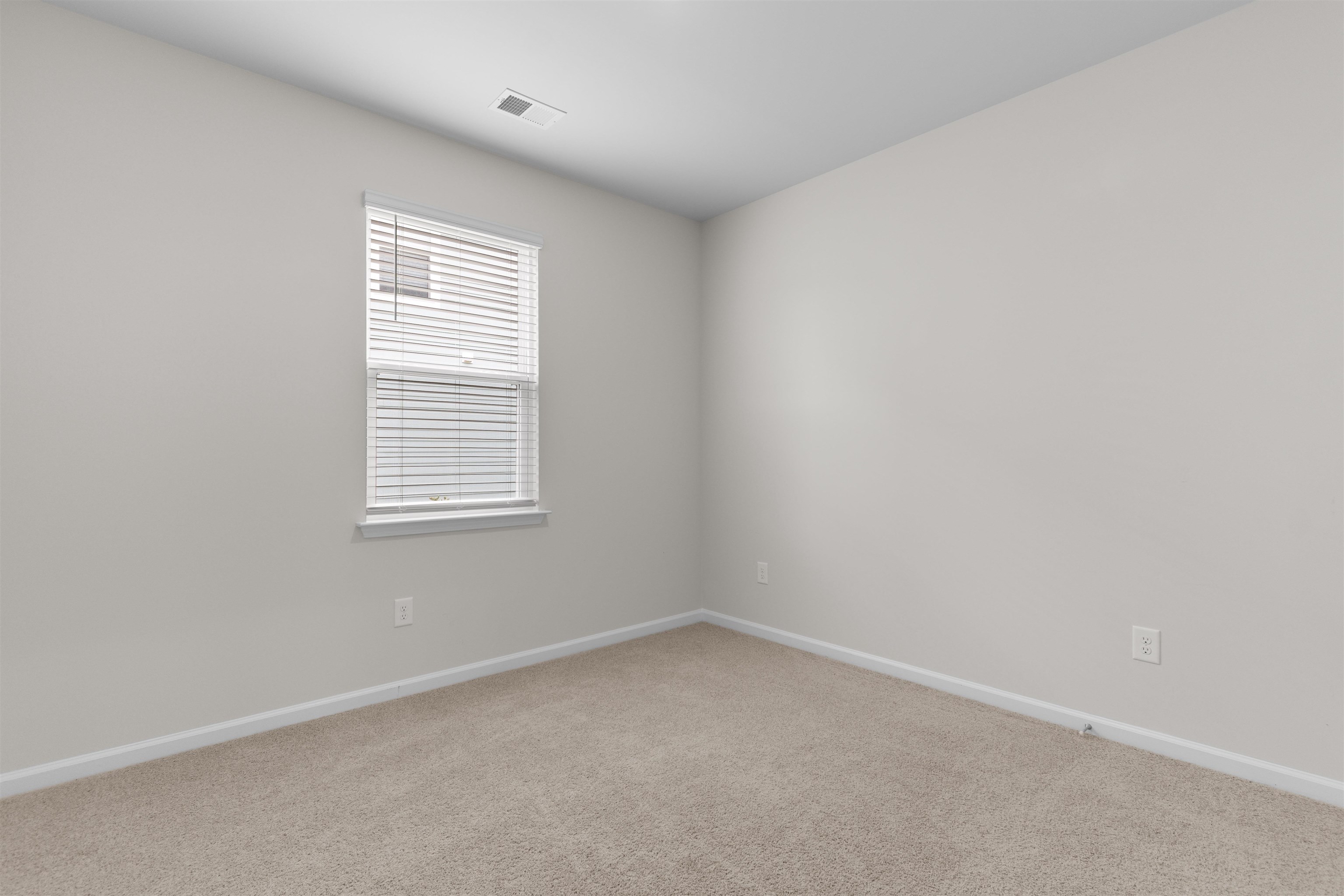 1102 Black Lake Way Property Photo 28