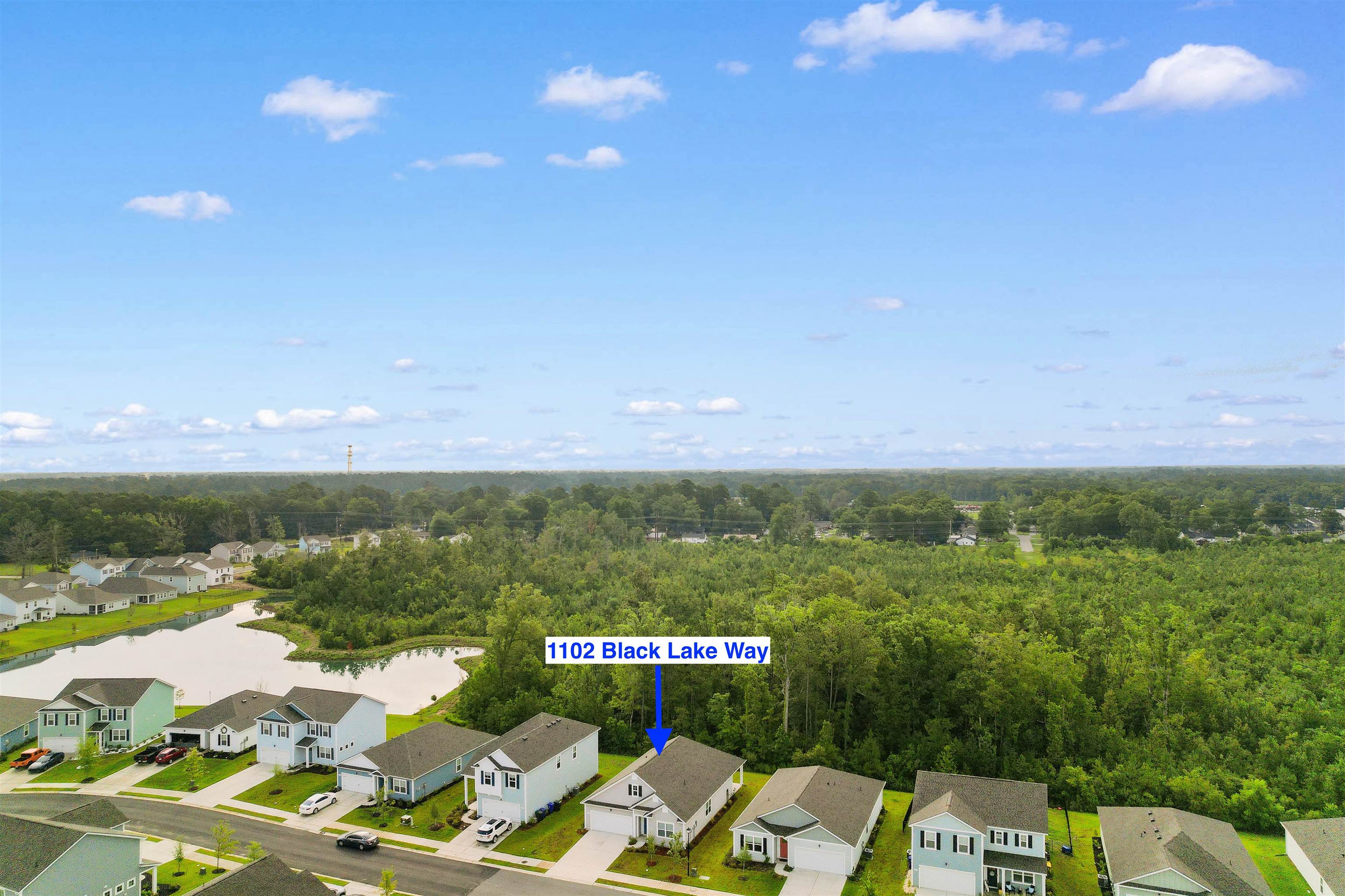 1102 Black Lake Way Property Photo 36