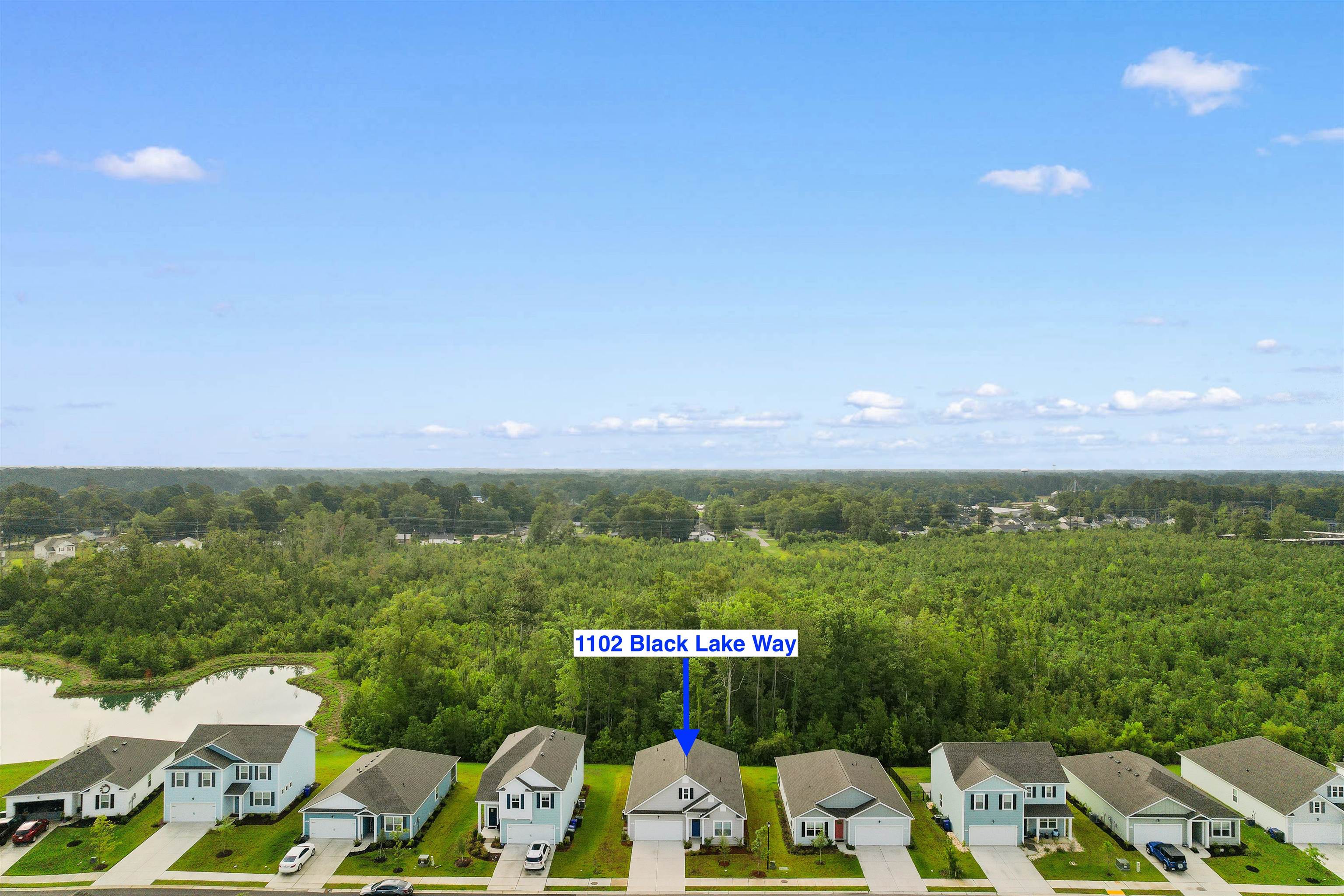 1102 Black Lake Way Property Photo 38