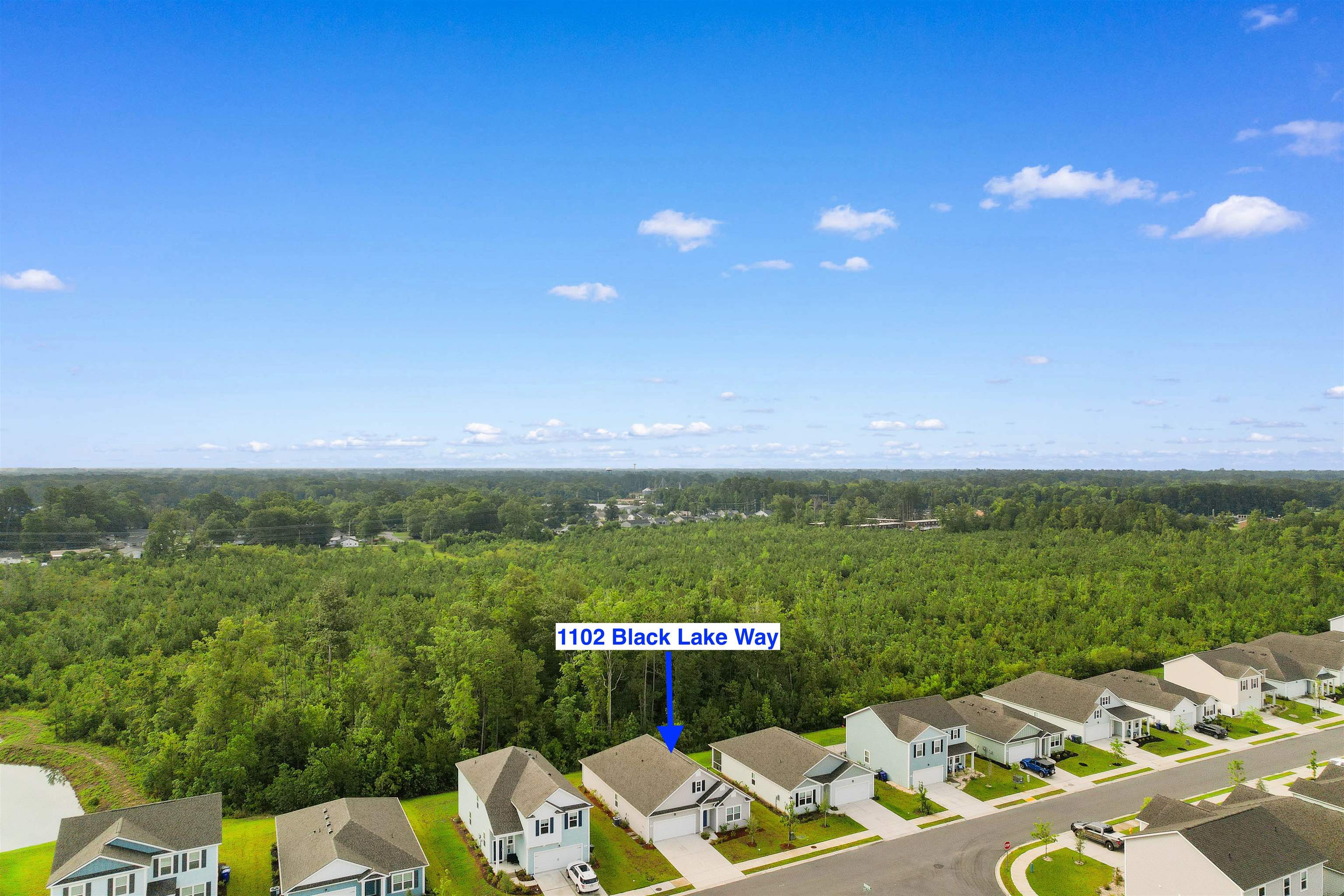 1102 Black Lake Way Property Photo 40