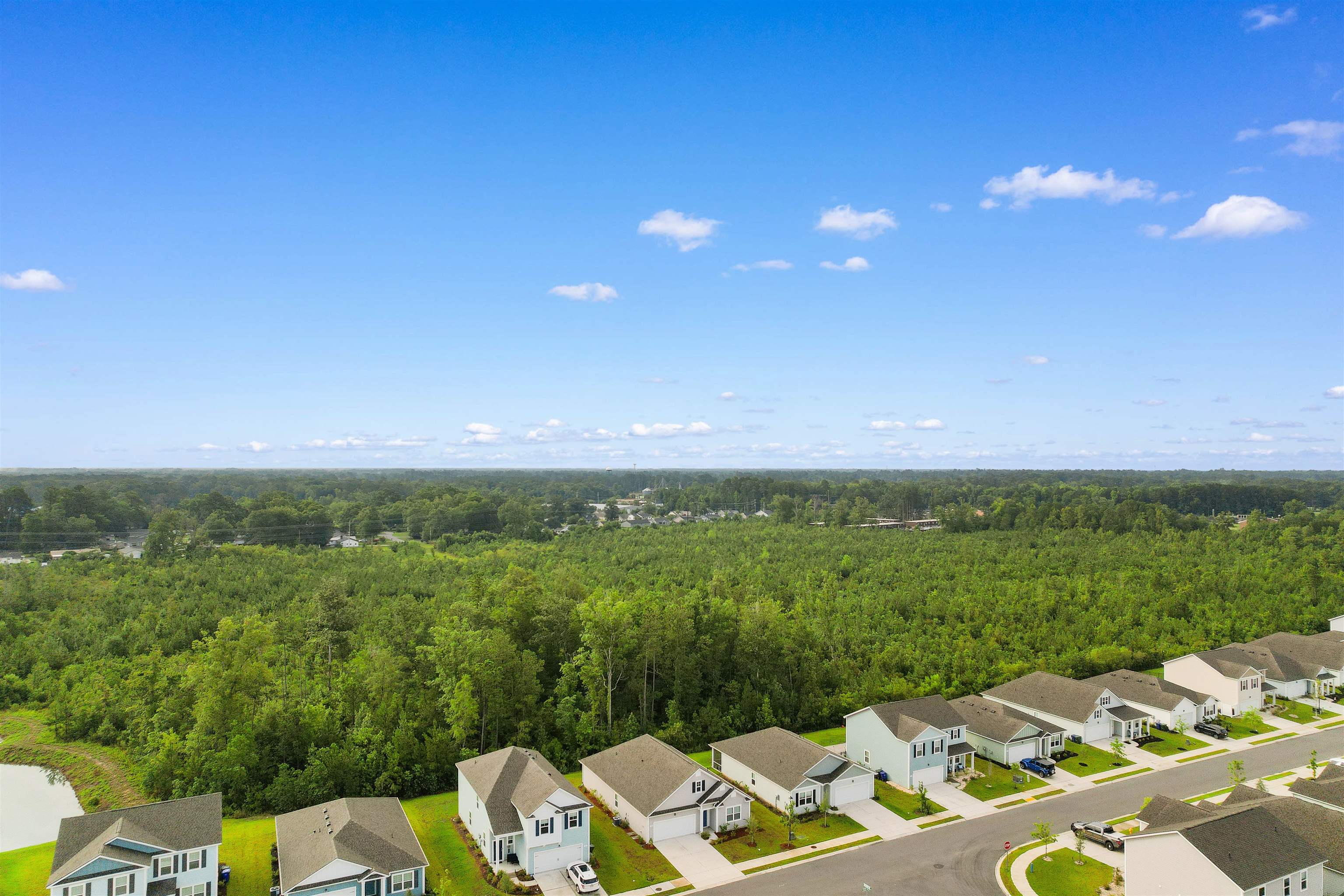 1102 Black Lake Way Property Photo 41