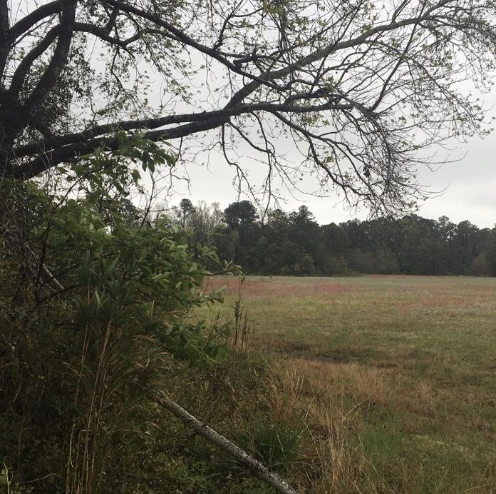 31.31 Ac Atlantic Breeze Dr. Property Photo 2
