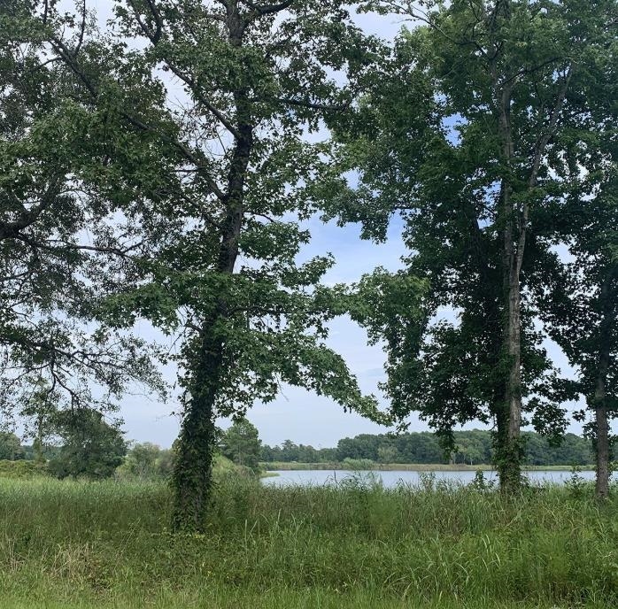45.22 Ac Atlantic Breeze Dr. Property Photo 4