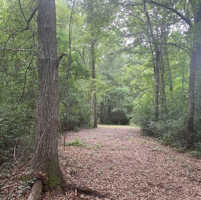 45.22 Ac Atlantic Breeze Dr. Property Photo 5