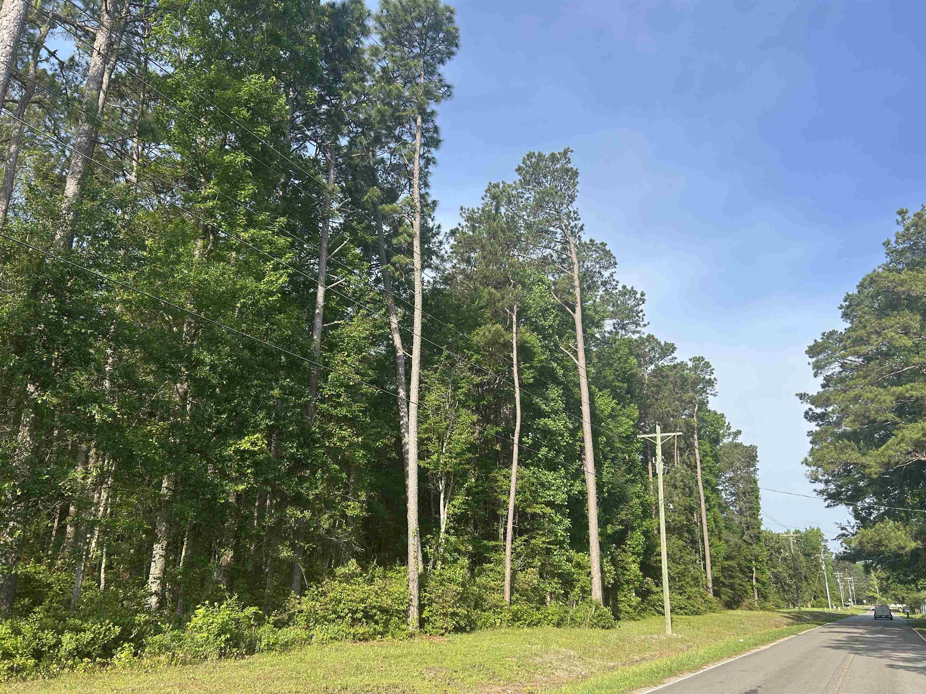 4259 Roscoe Rd. Property Photo 16