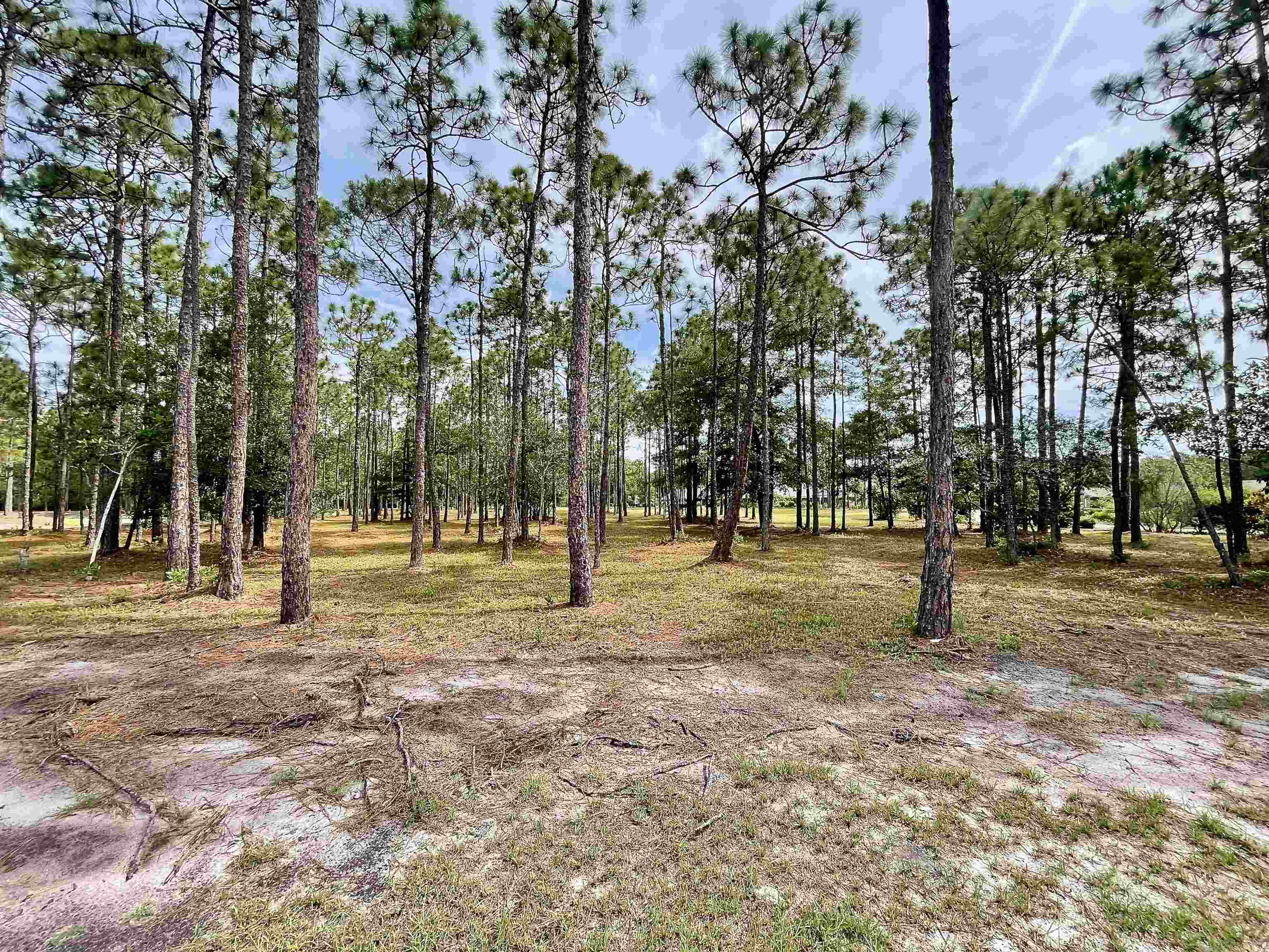 6804 Beckman Circle Property Photo 1