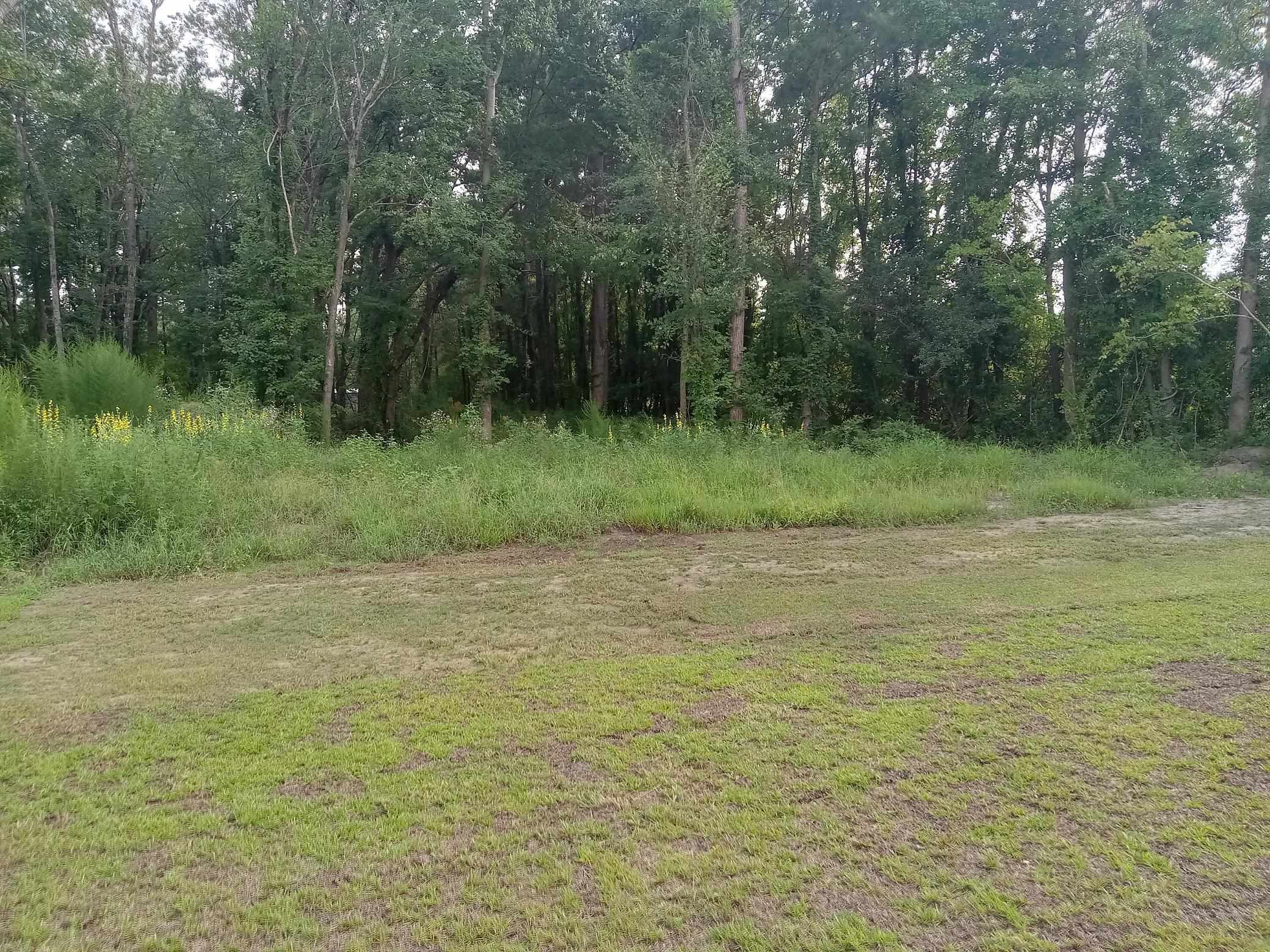 3764 Green Sea Rd. Property Photo 31