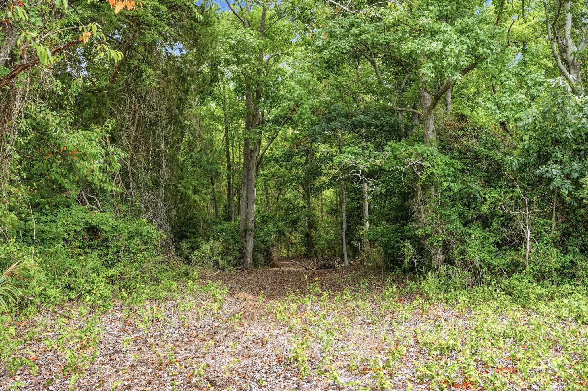 181.47 Acres Atlantic Breeze Dr. Property Photo 26