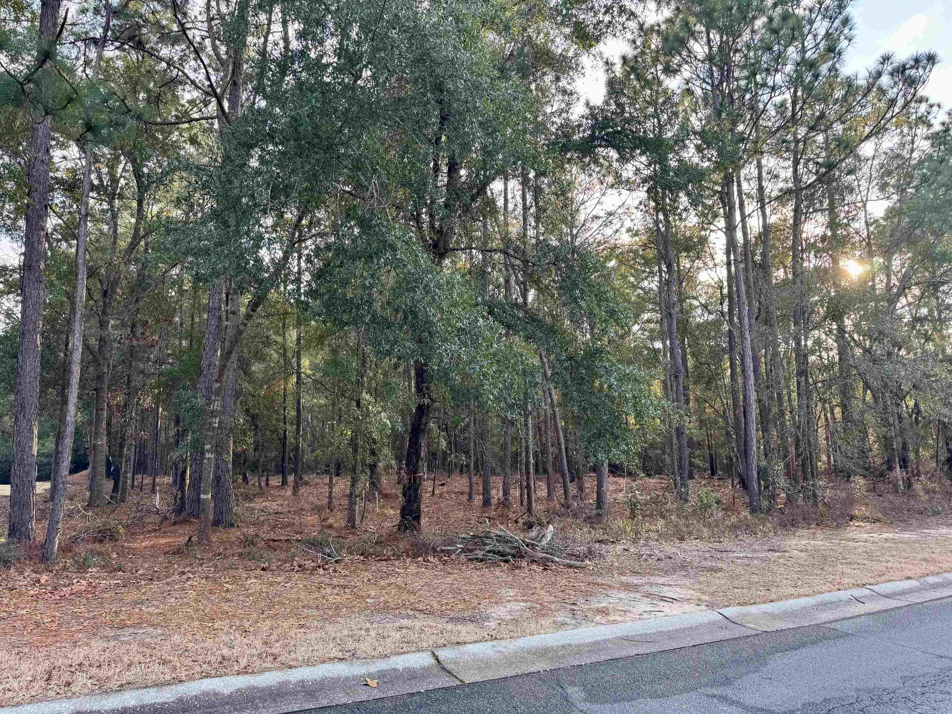 Lot 63 Preservation Circle Property Photo 1