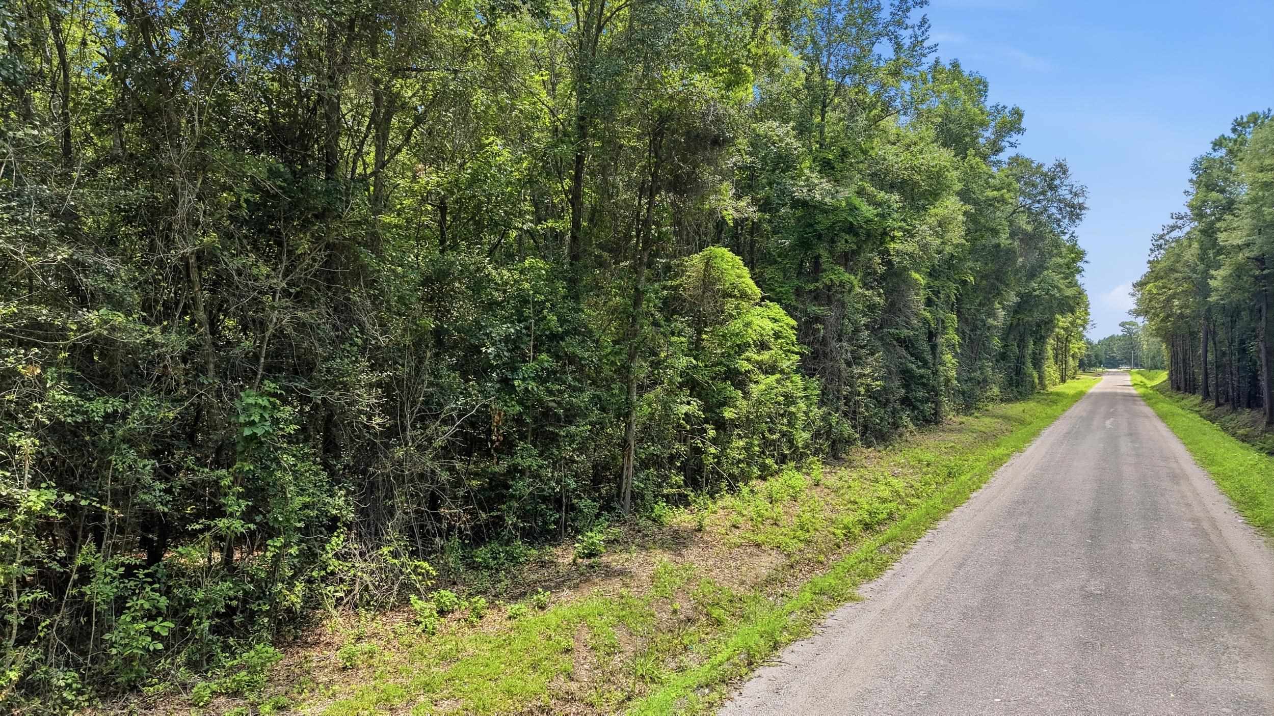 601 Huggins Landing Rd. Property Photo 8