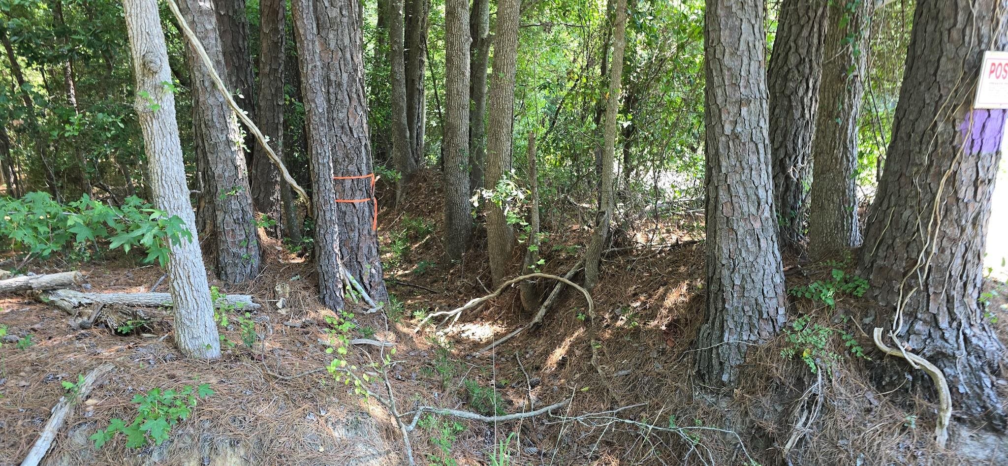 Tbd4 Highway 111 Property Photo 3