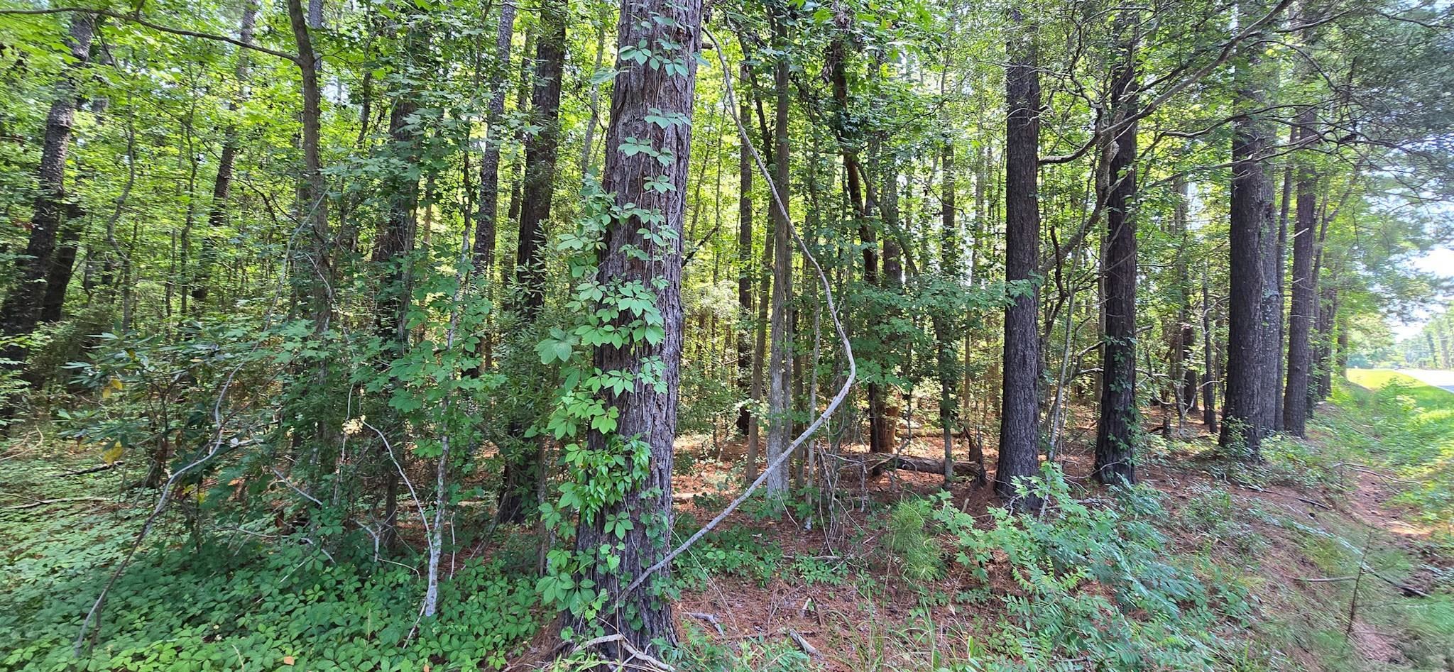 Tbd4 Highway 111 Property Photo 4