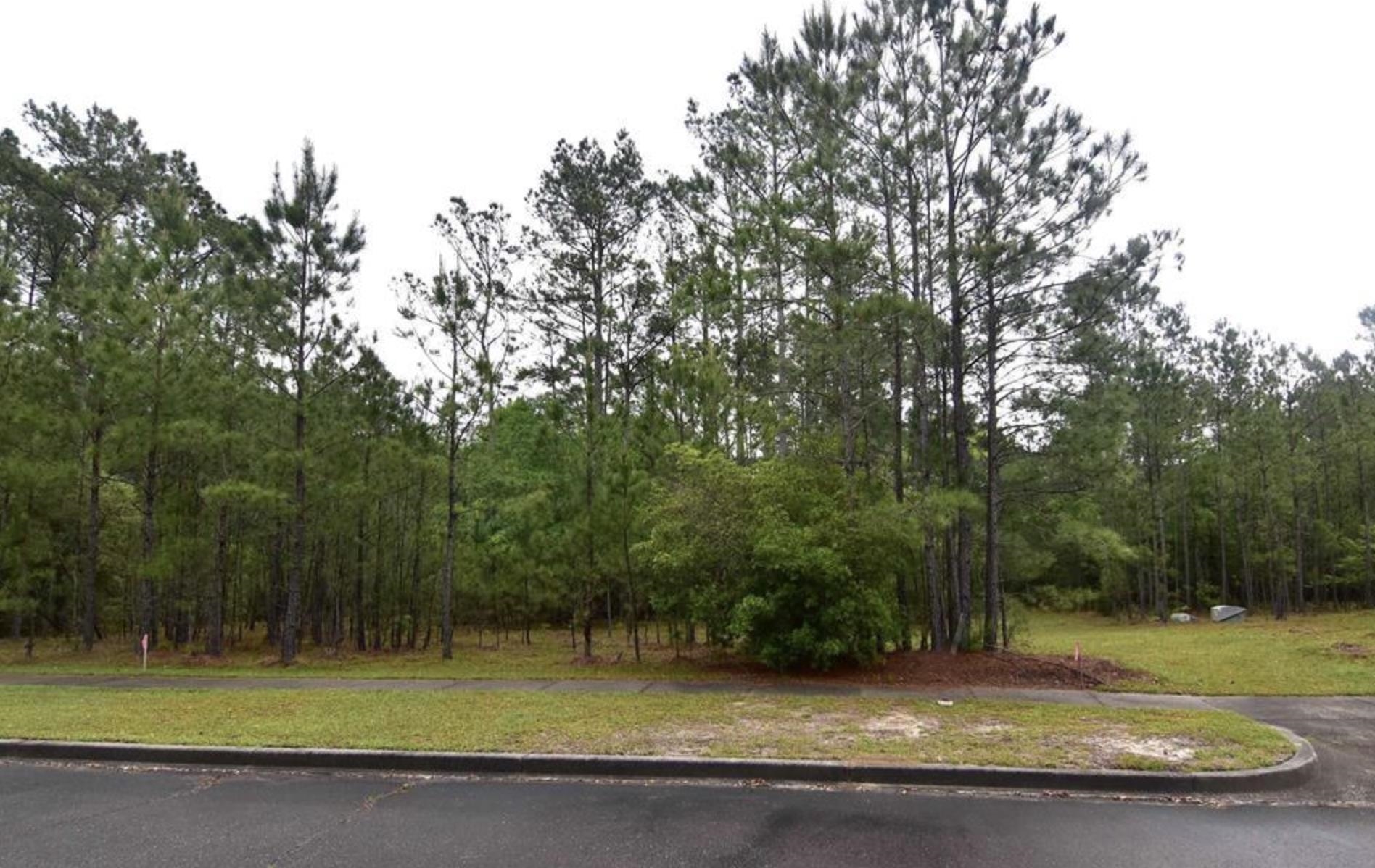 121 Pineberry Dr. Property Photo 1