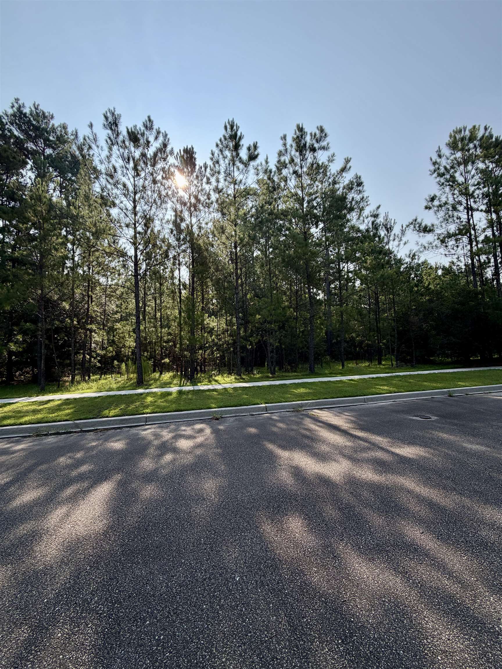 121 Pineberry Dr. Property Photo 5