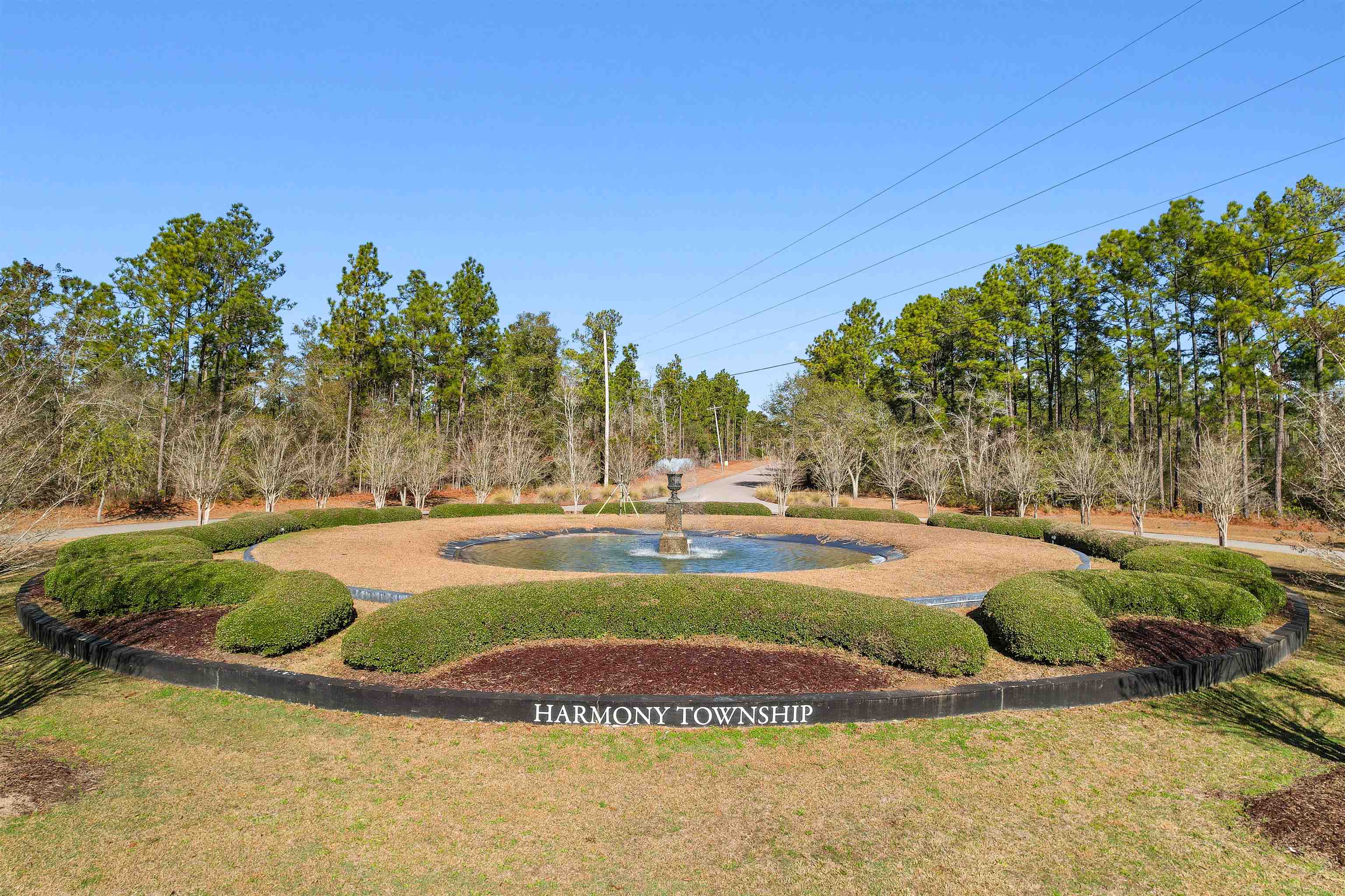 121 Pineberry Dr. Property Photo 19