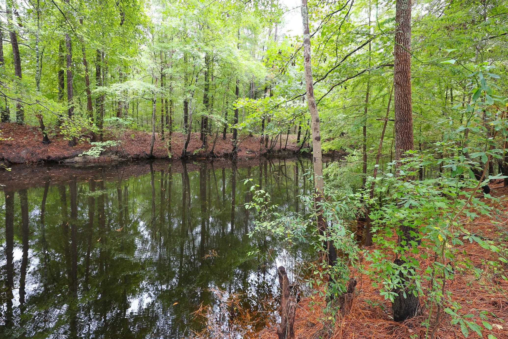 Lot 10-b Lees Landing Circle Property Photo 7