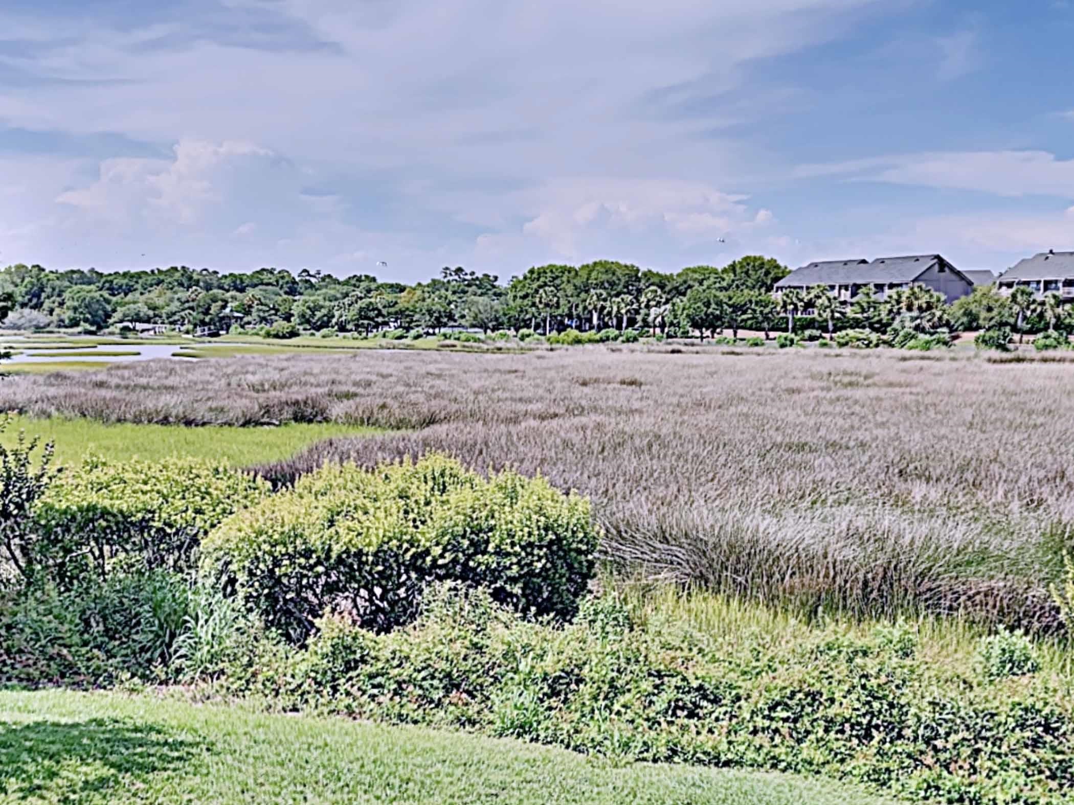 54 Spartina Ct. Property Photo 22