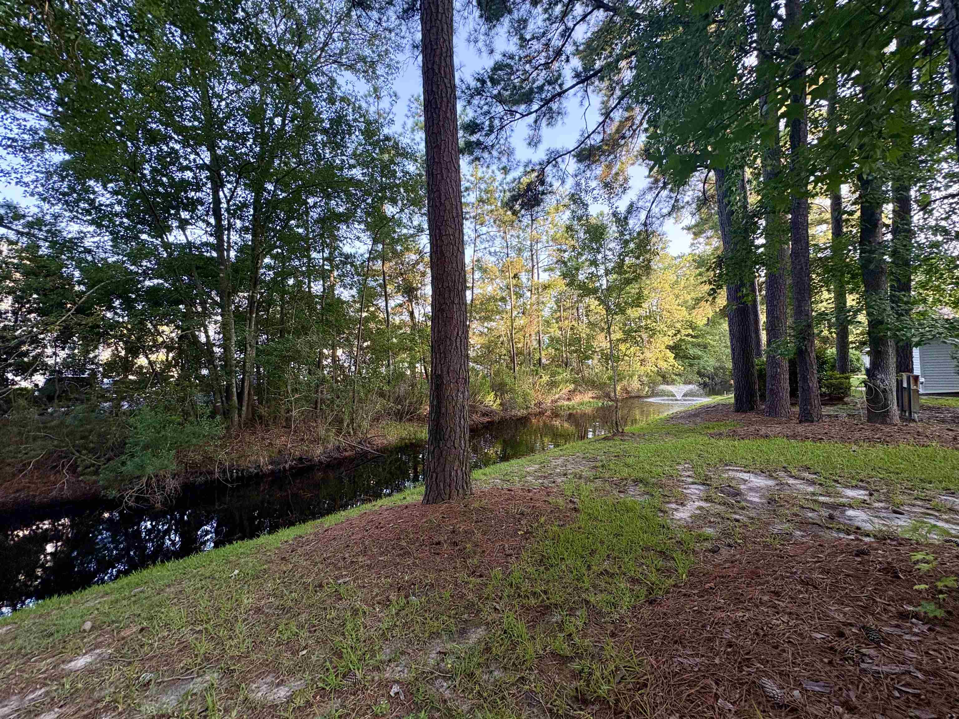 3095 Palmetto Dr. Property Photo 15