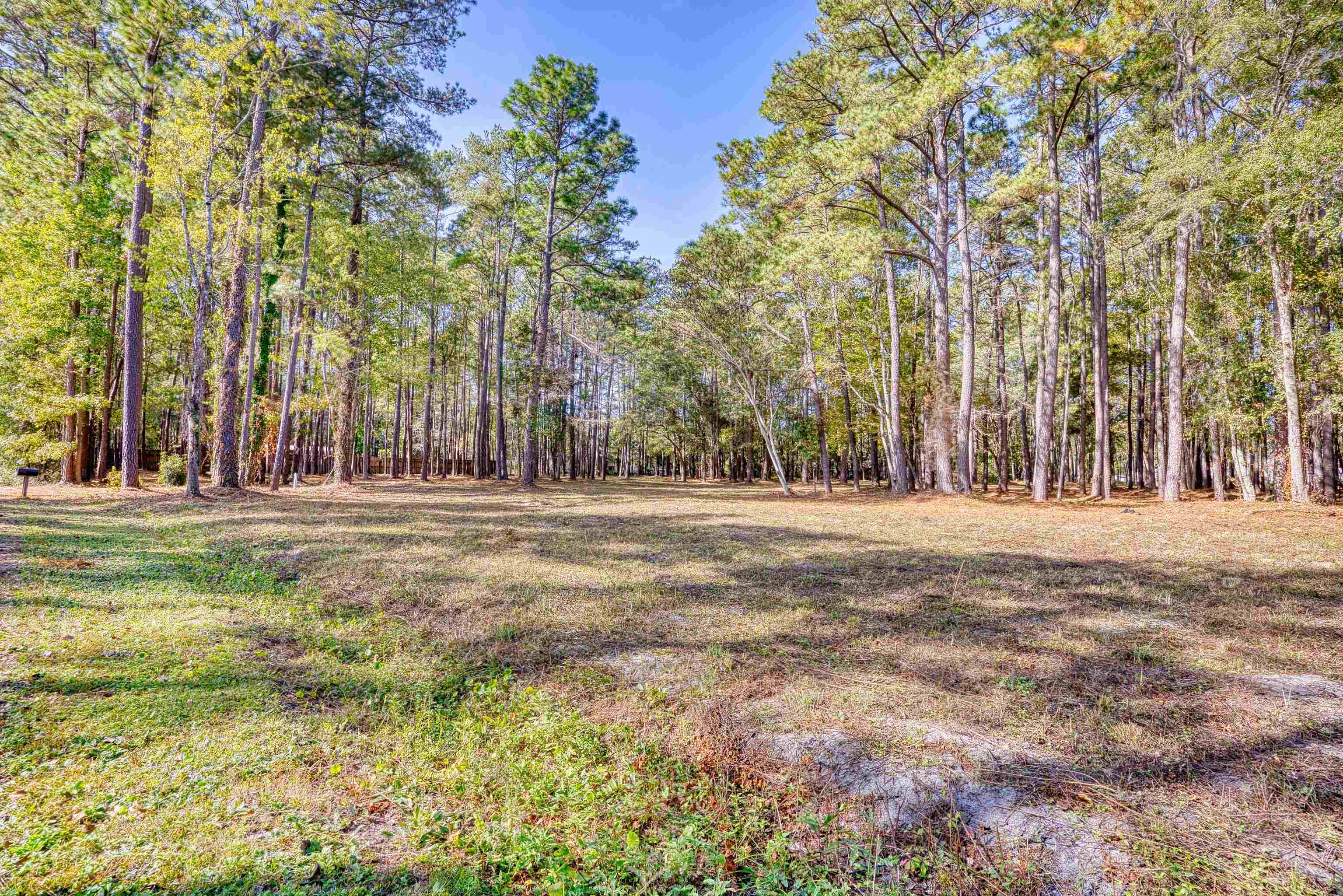 4250 Lilac Rd. Property Photo 4