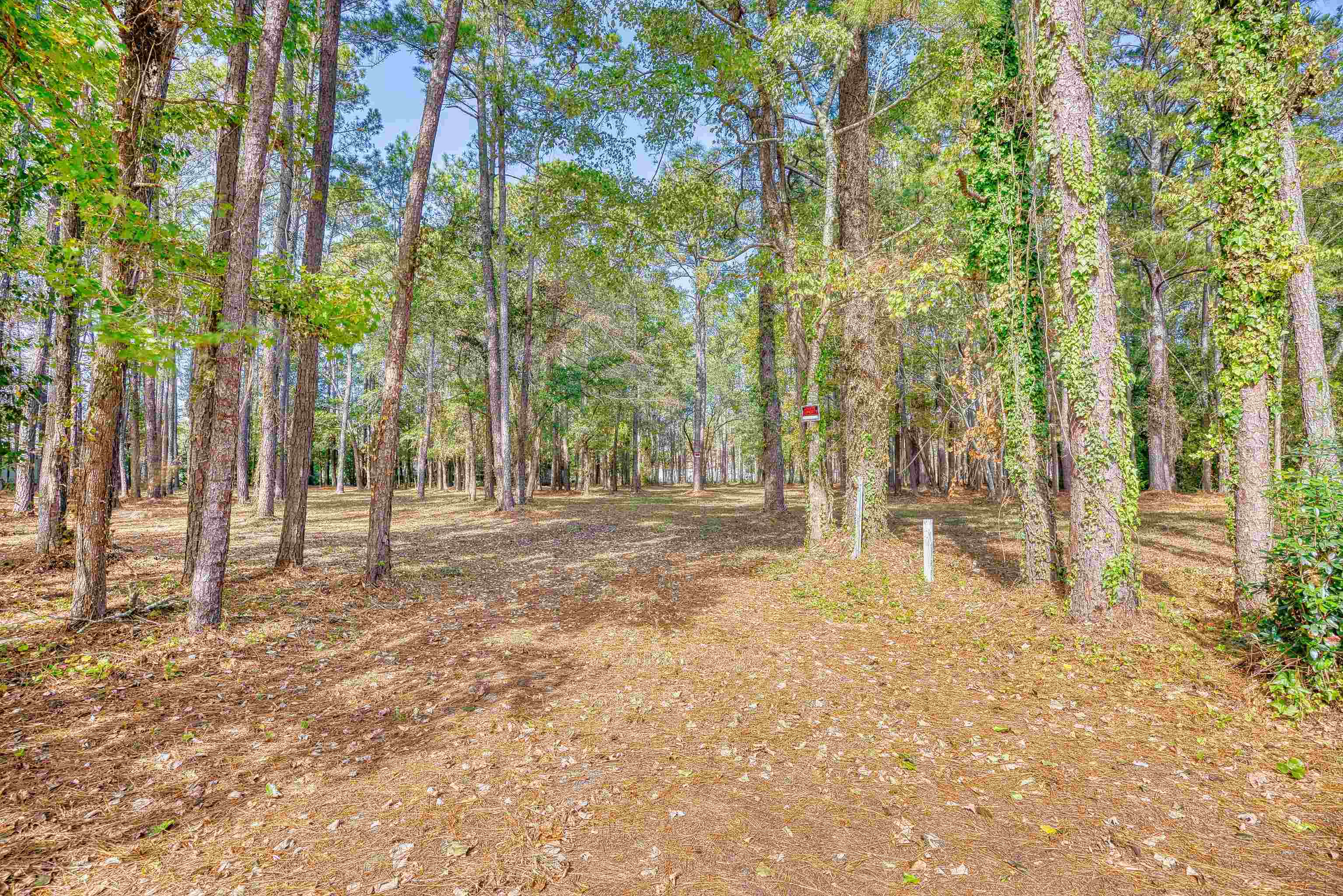 4250 Lilac Rd. Property Photo 6