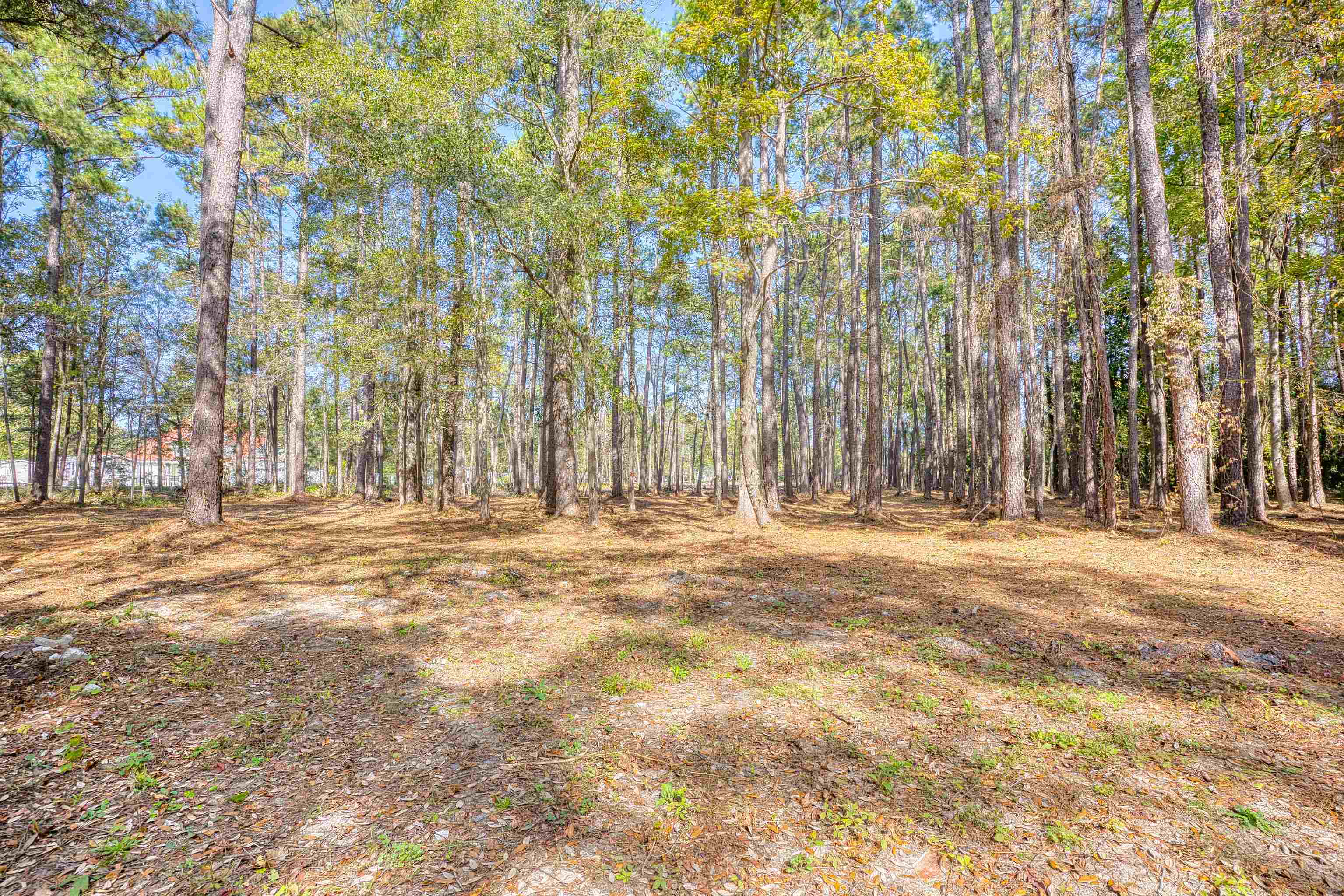 4250 Lilac Rd. Property Photo 8