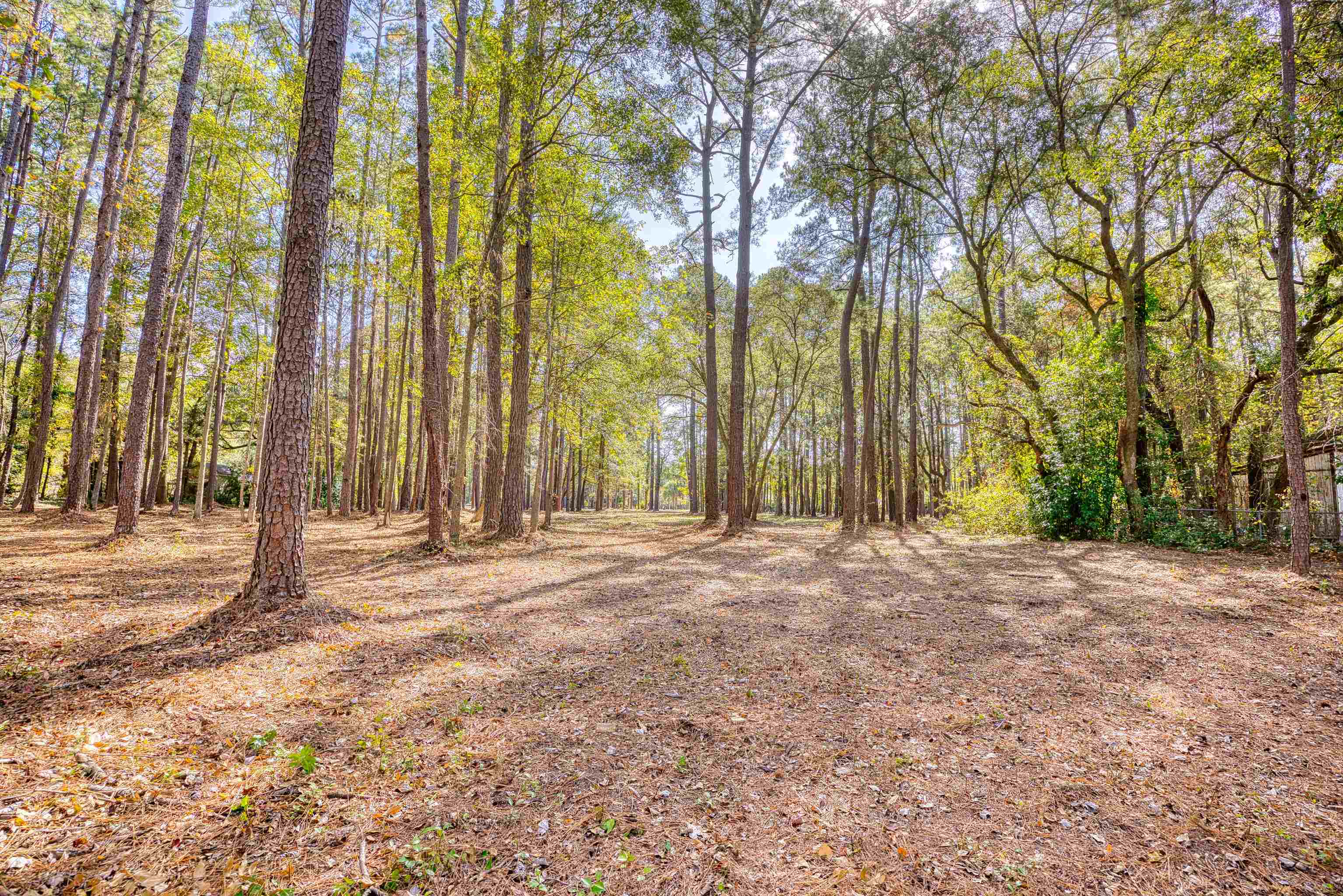 4250 Lilac Rd. Property Photo 9