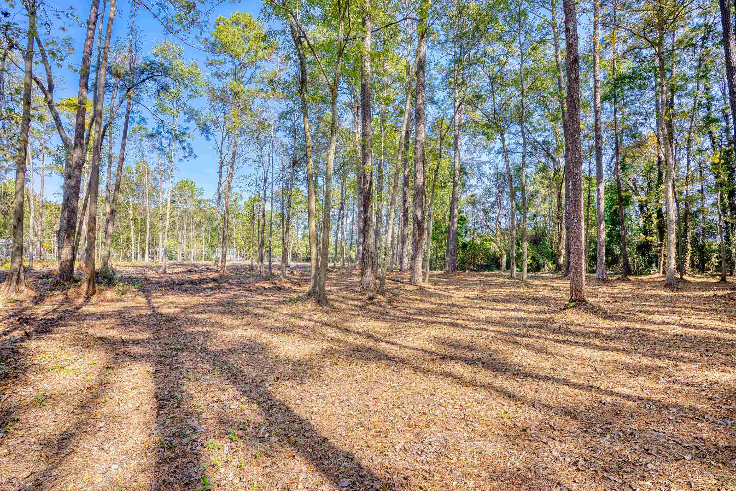 4250 Lilac Rd. Property Photo 10