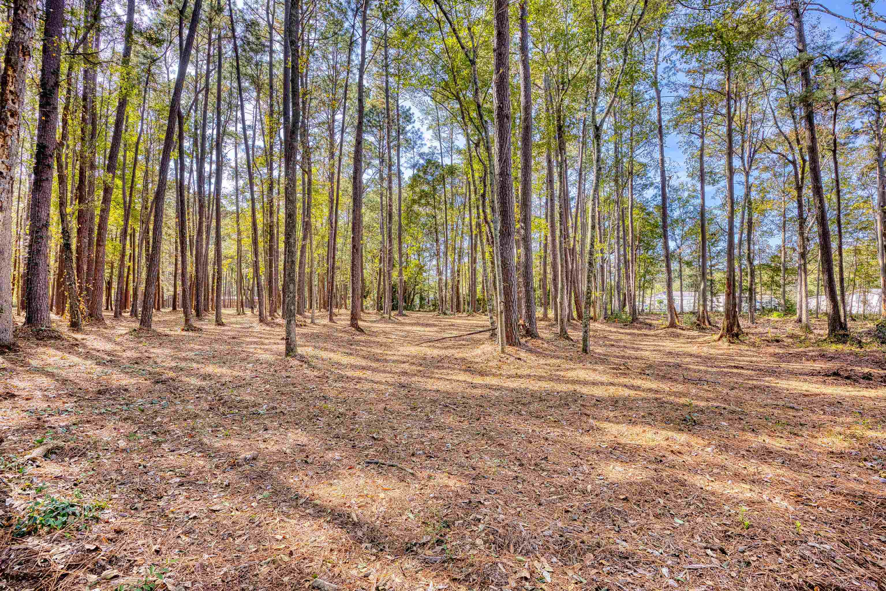 4250 Lilac Rd. Property Photo 11