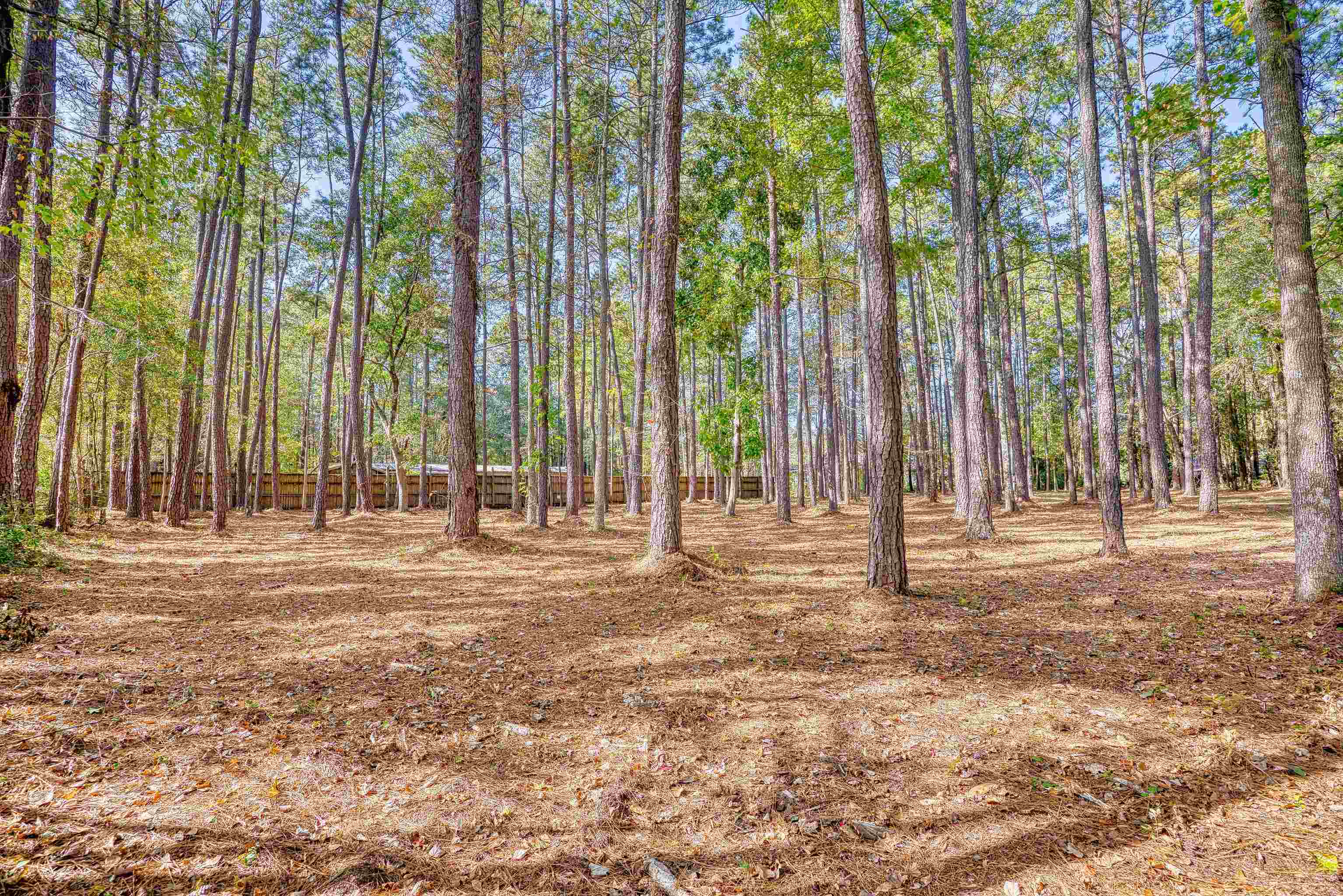 4250 Lilac Rd. Property Photo 12