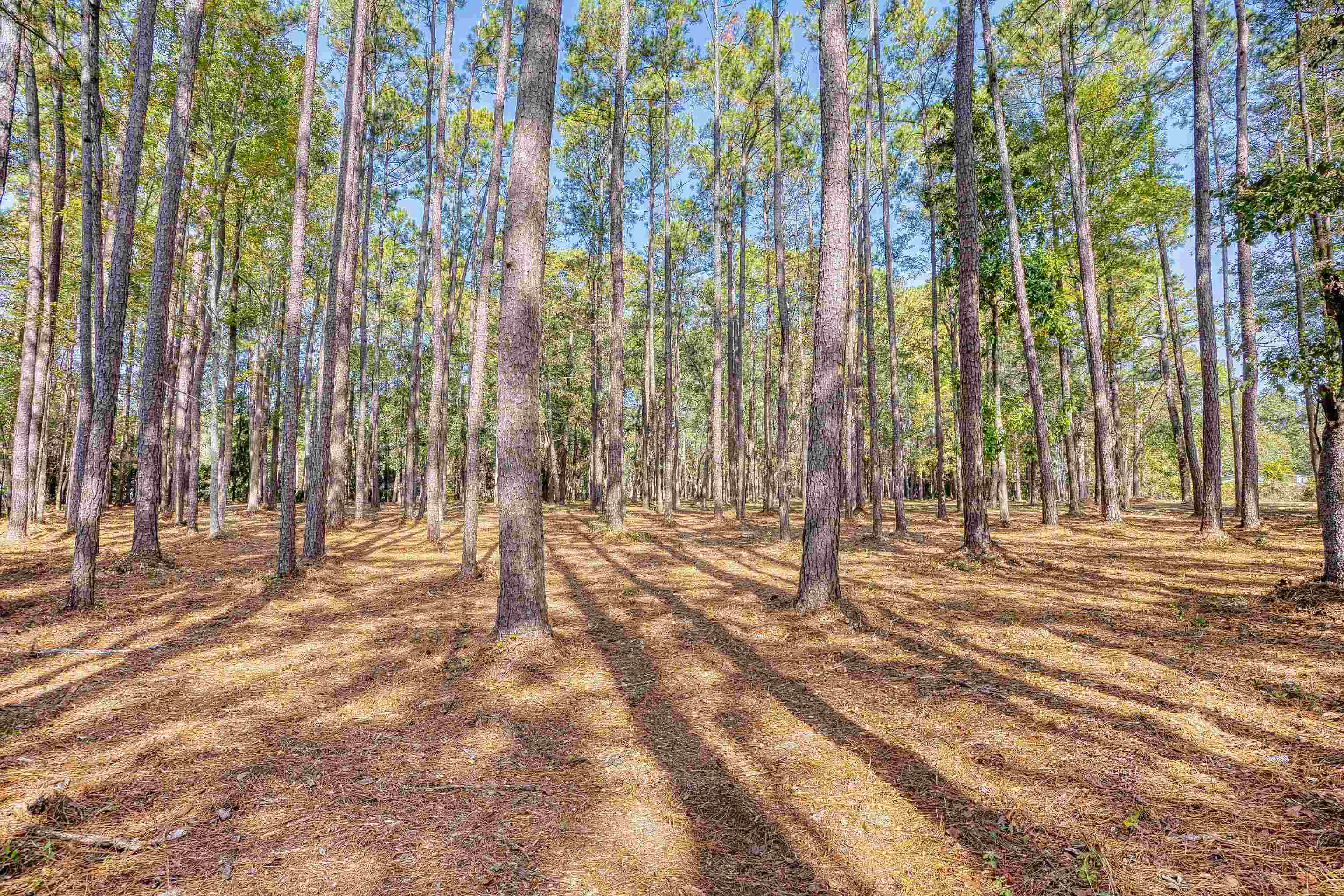 4250 Lilac Rd. Property Photo 13