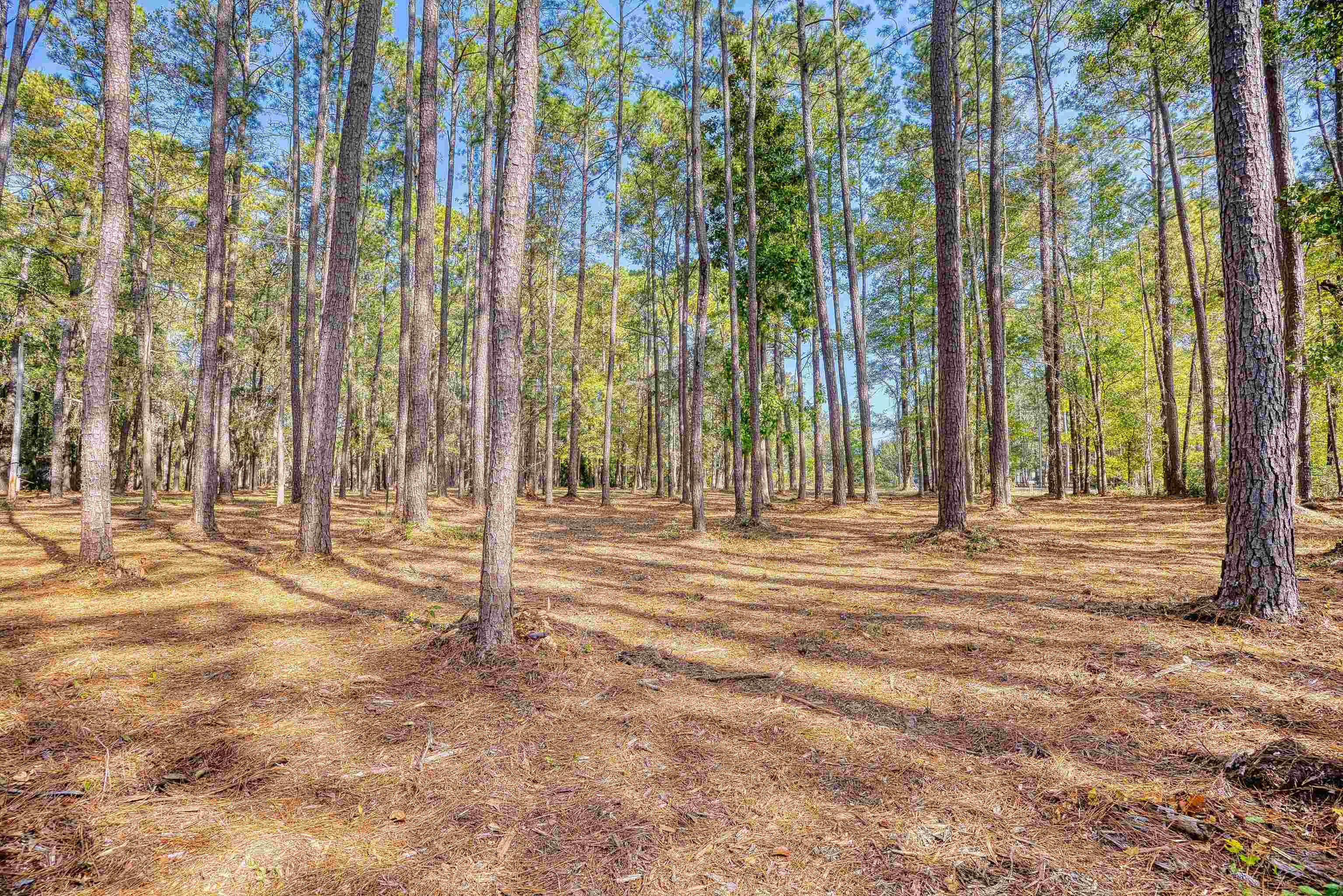 4250 Lilac Rd. Property Photo 14