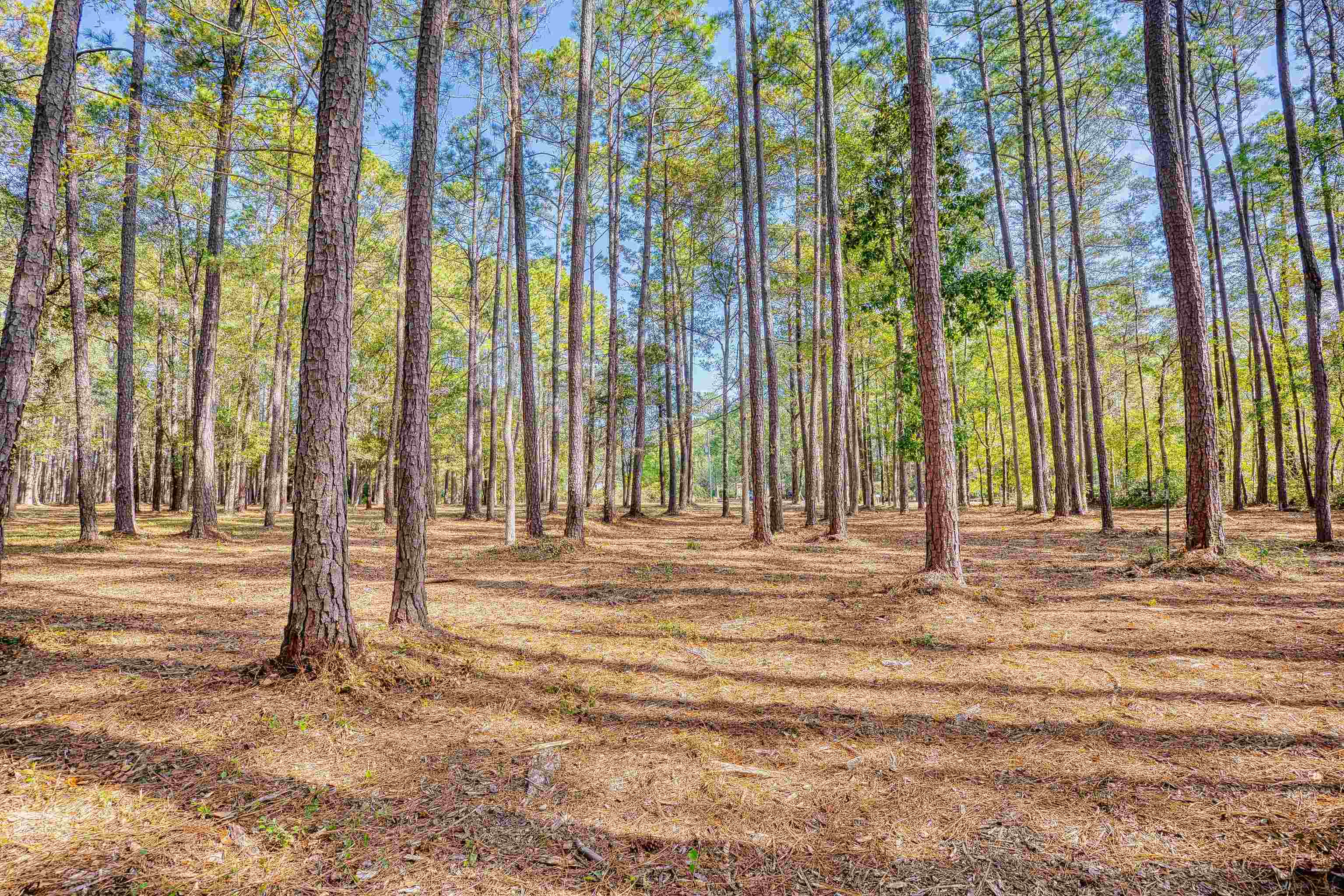 4250 Lilac Rd. Property Photo 15