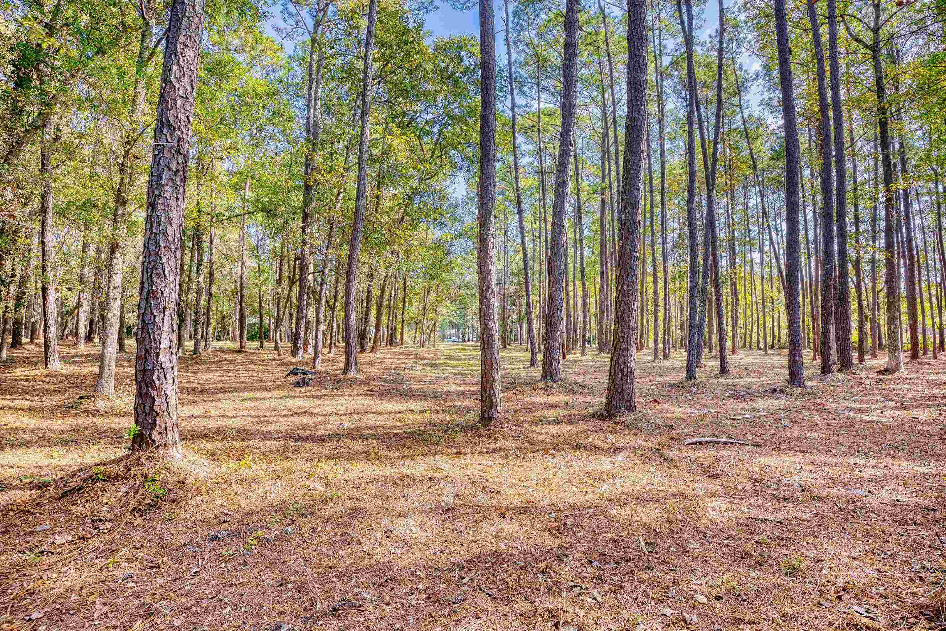 4250 Lilac Rd. Property Photo 16